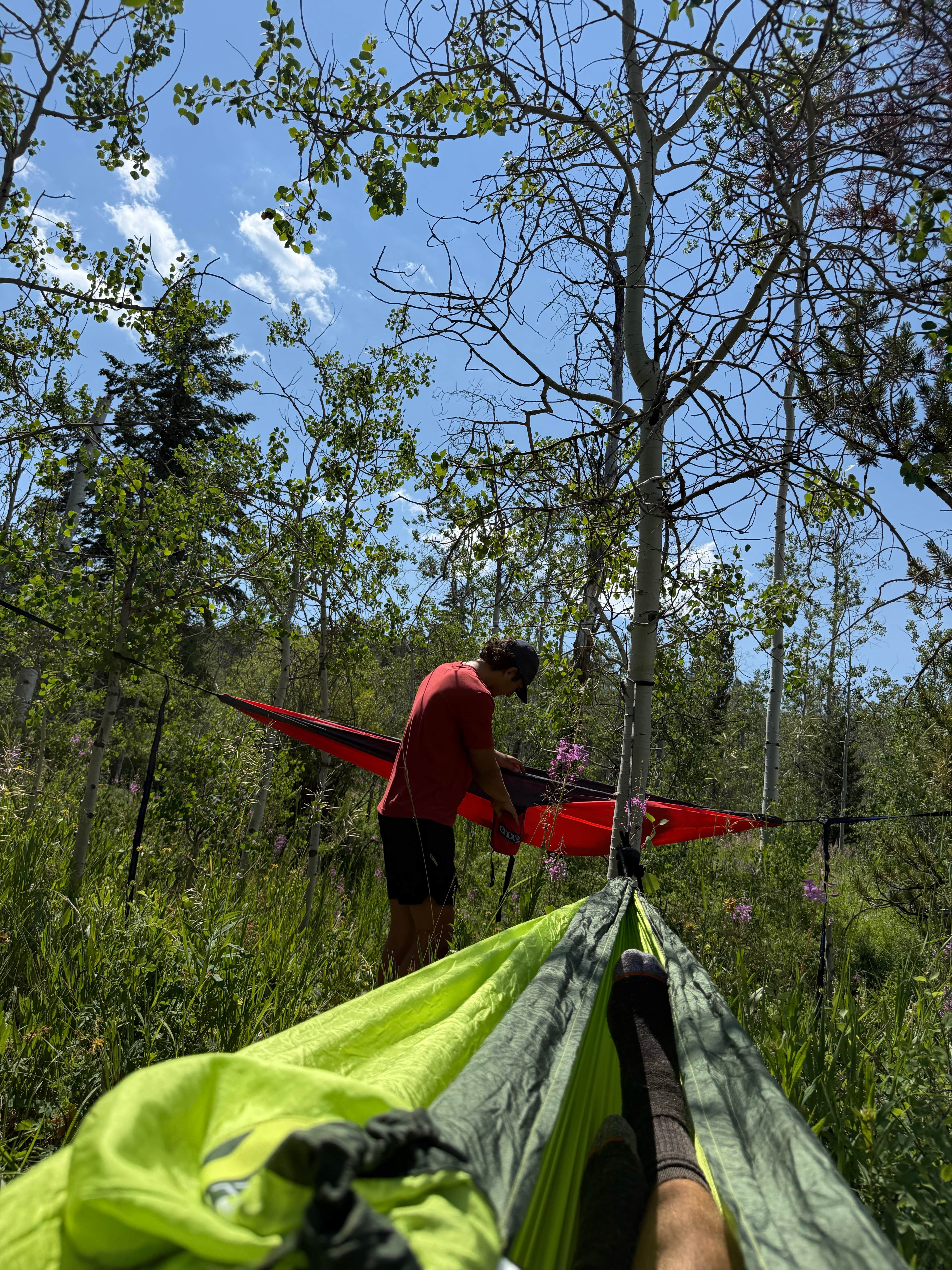 Camper submitted image from Shadow Mountain Designated Campsites 10-11 - 2