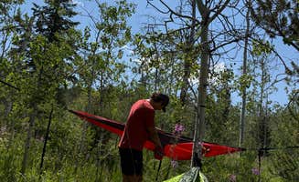 Cooper P.'s photo at Shadow Mountain Designated Campsites 10-11 in Wyoming