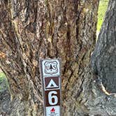 Review photo of Shadow Mountain Dispersed Camping by Tyler M., June 15, 2025