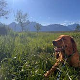 Review photo of Shadow Mountain - Dispersed Campsite #10 by lauren B., July 2, 2026
