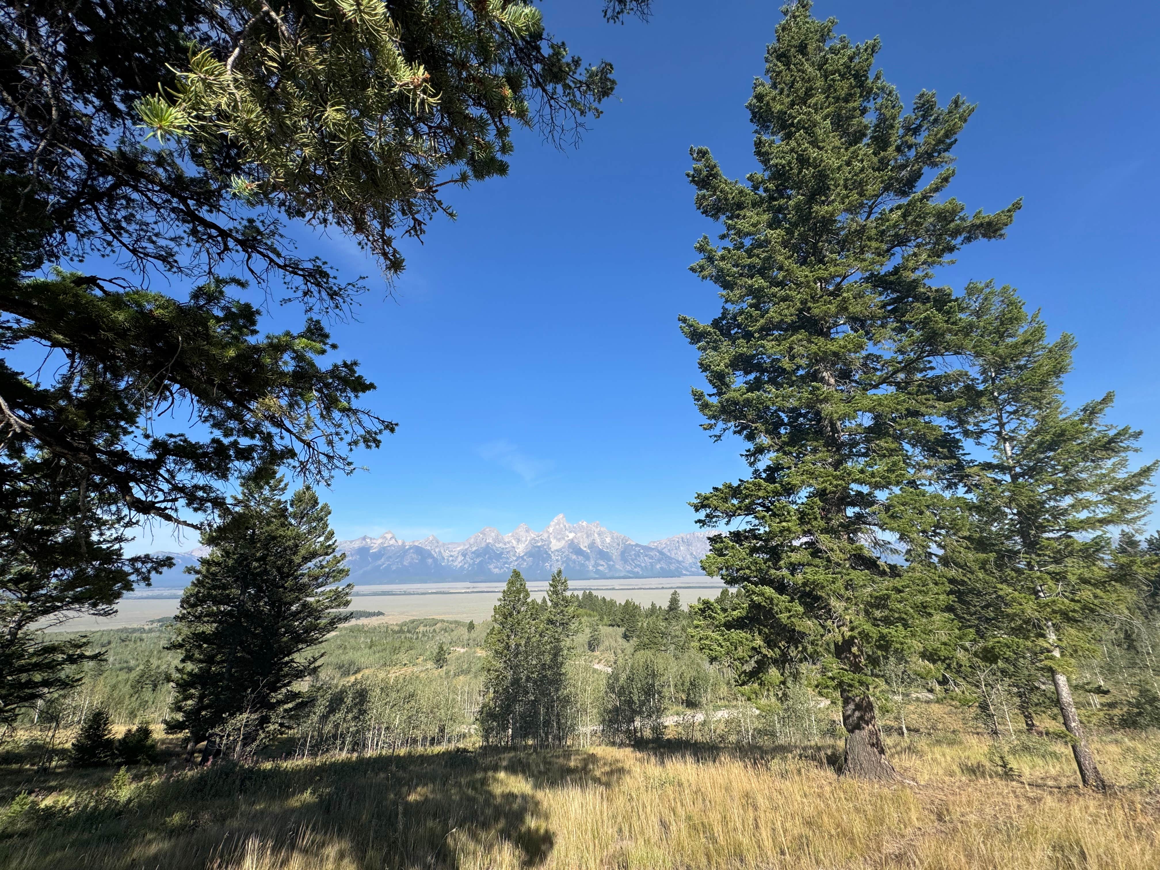 Camping near Lower Paintbrush — Grand Teton National Park: Shadow Mountain, Kelly, Wyoming