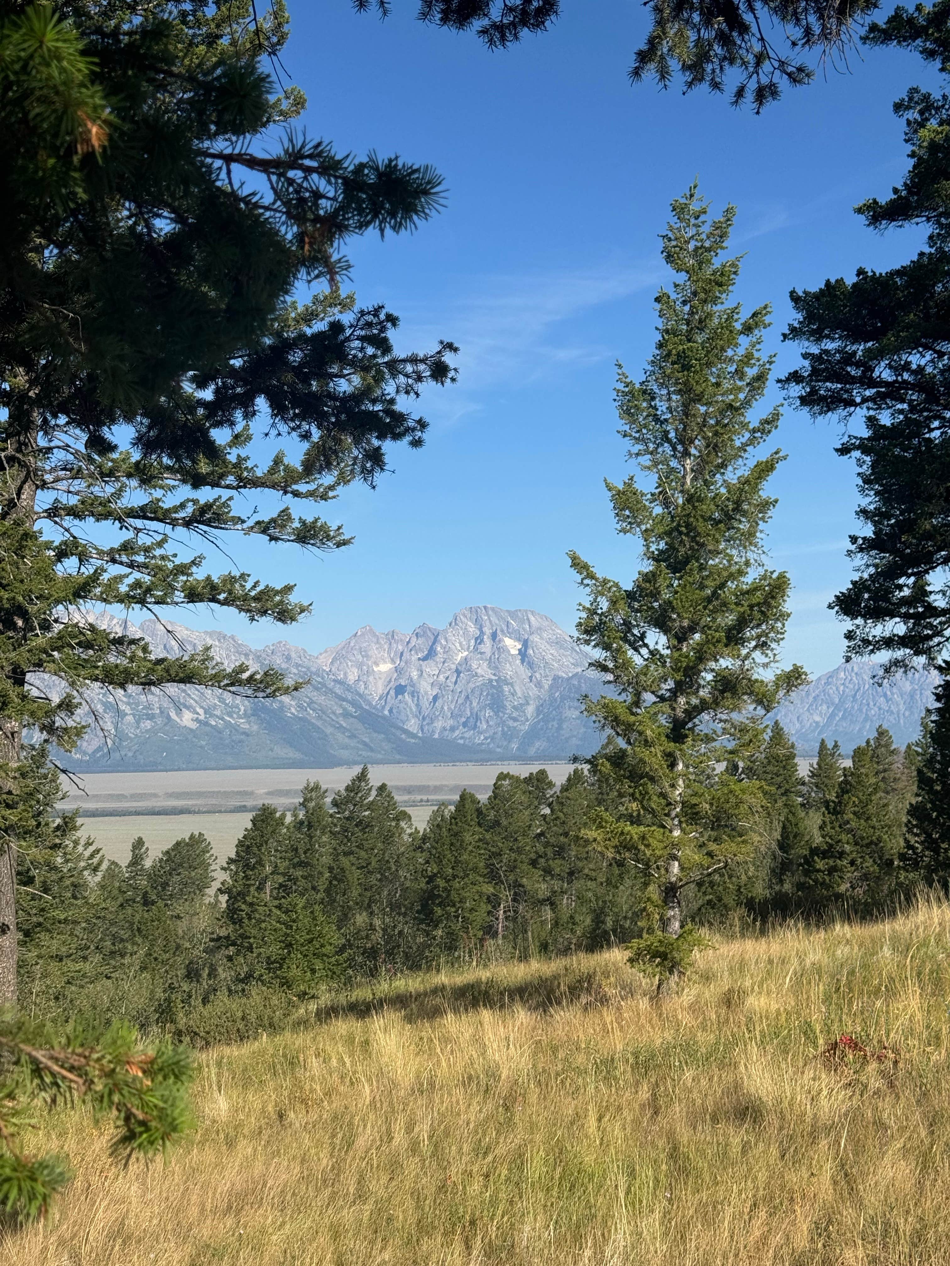 Camper-submitted photo at Shadow Mountain near Moose, WY
