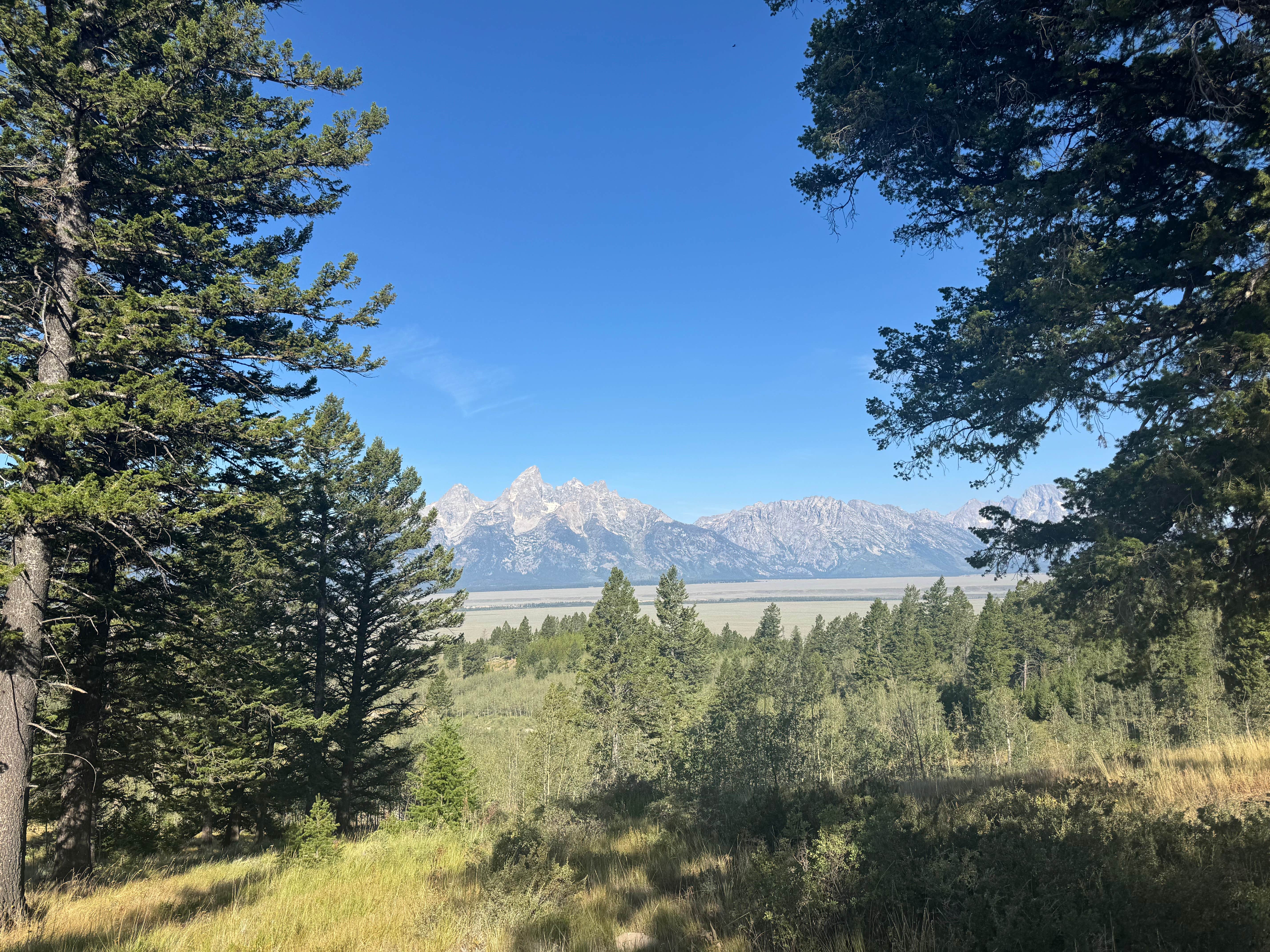Camper-submitted photo at Shadow Mountain near Moose, WY