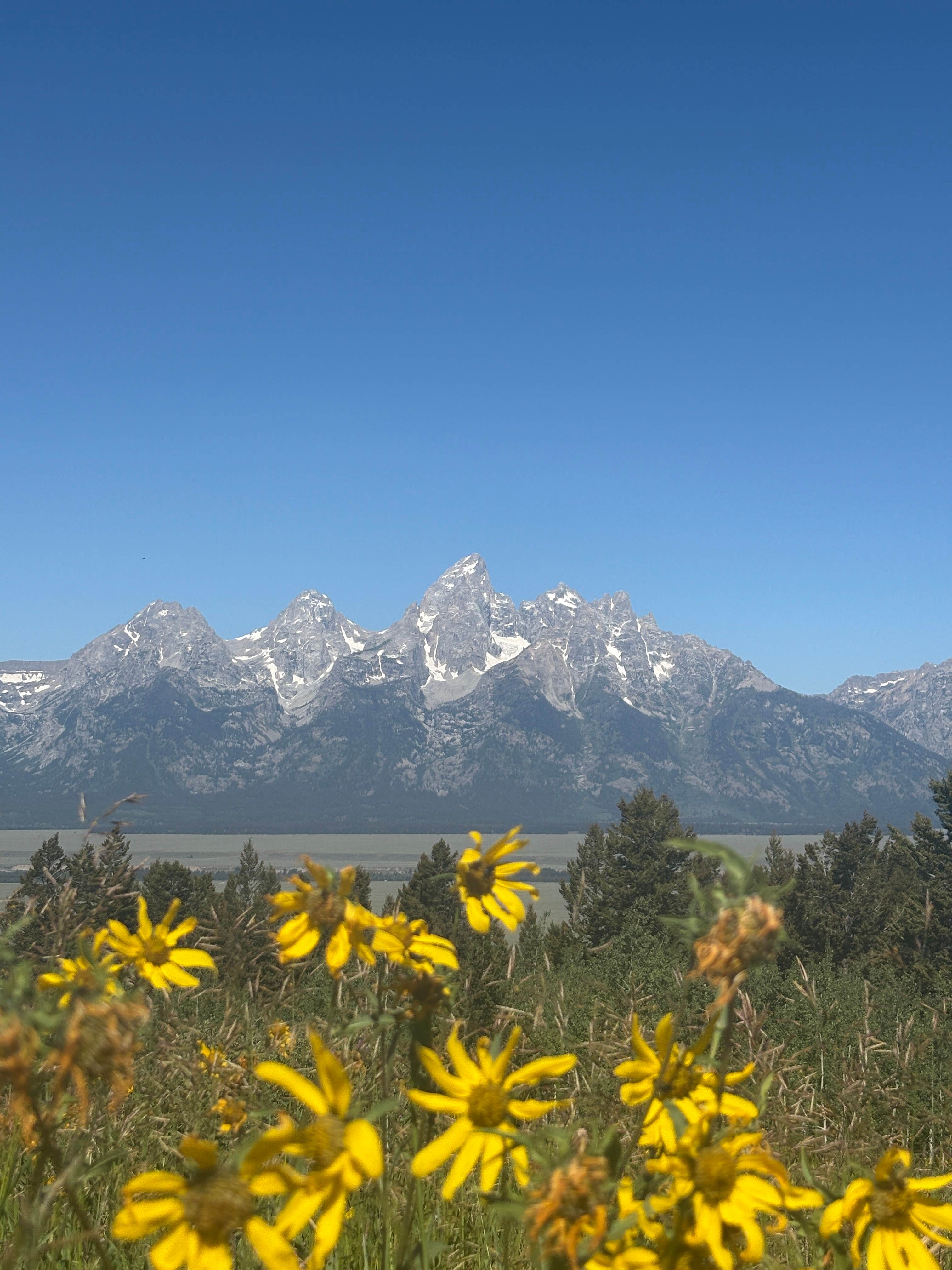 Camper-submitted photo at Shadow Mountain near Moose, WY