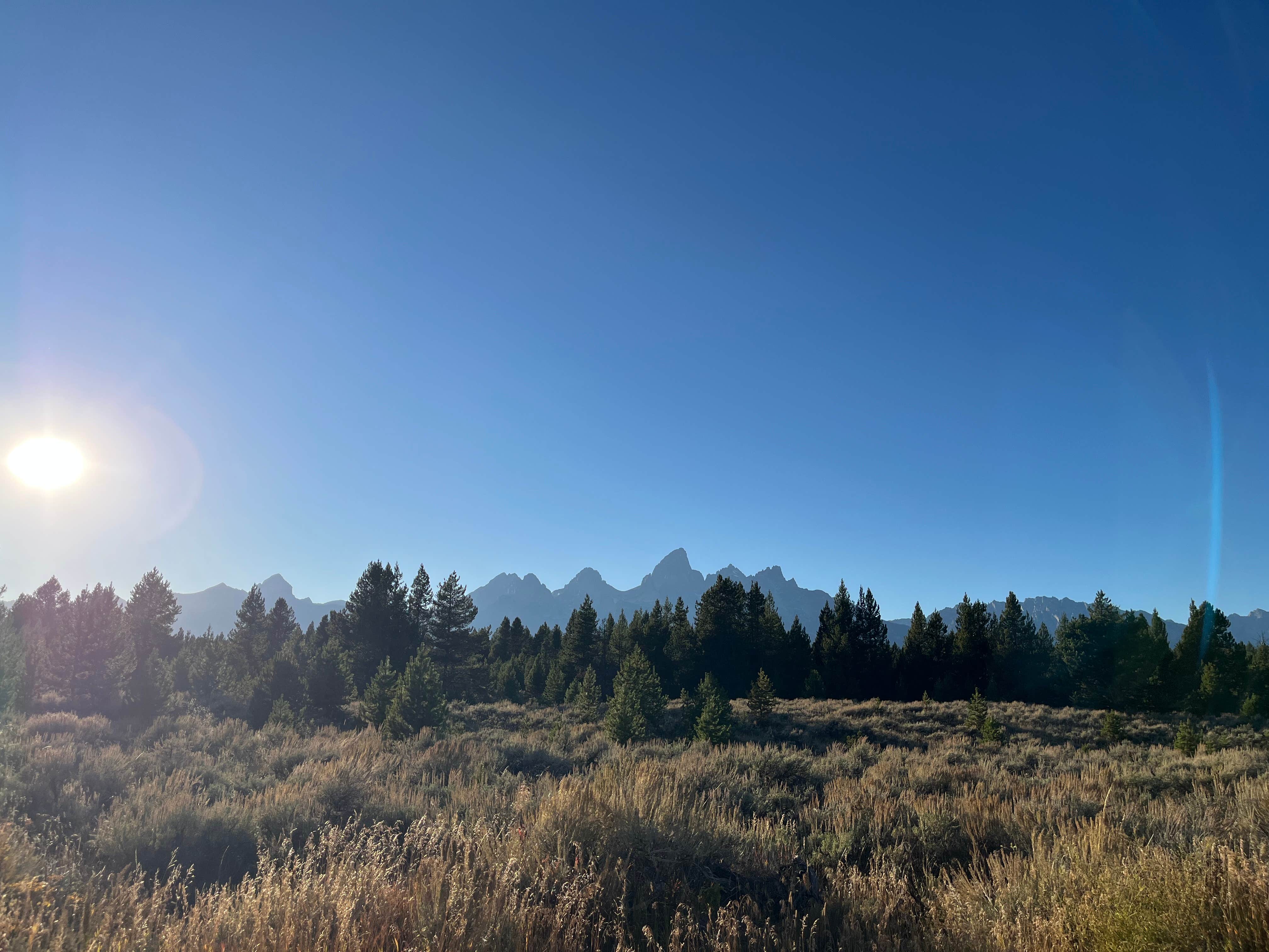 Camper submitted image from Shadow Mountain - 1