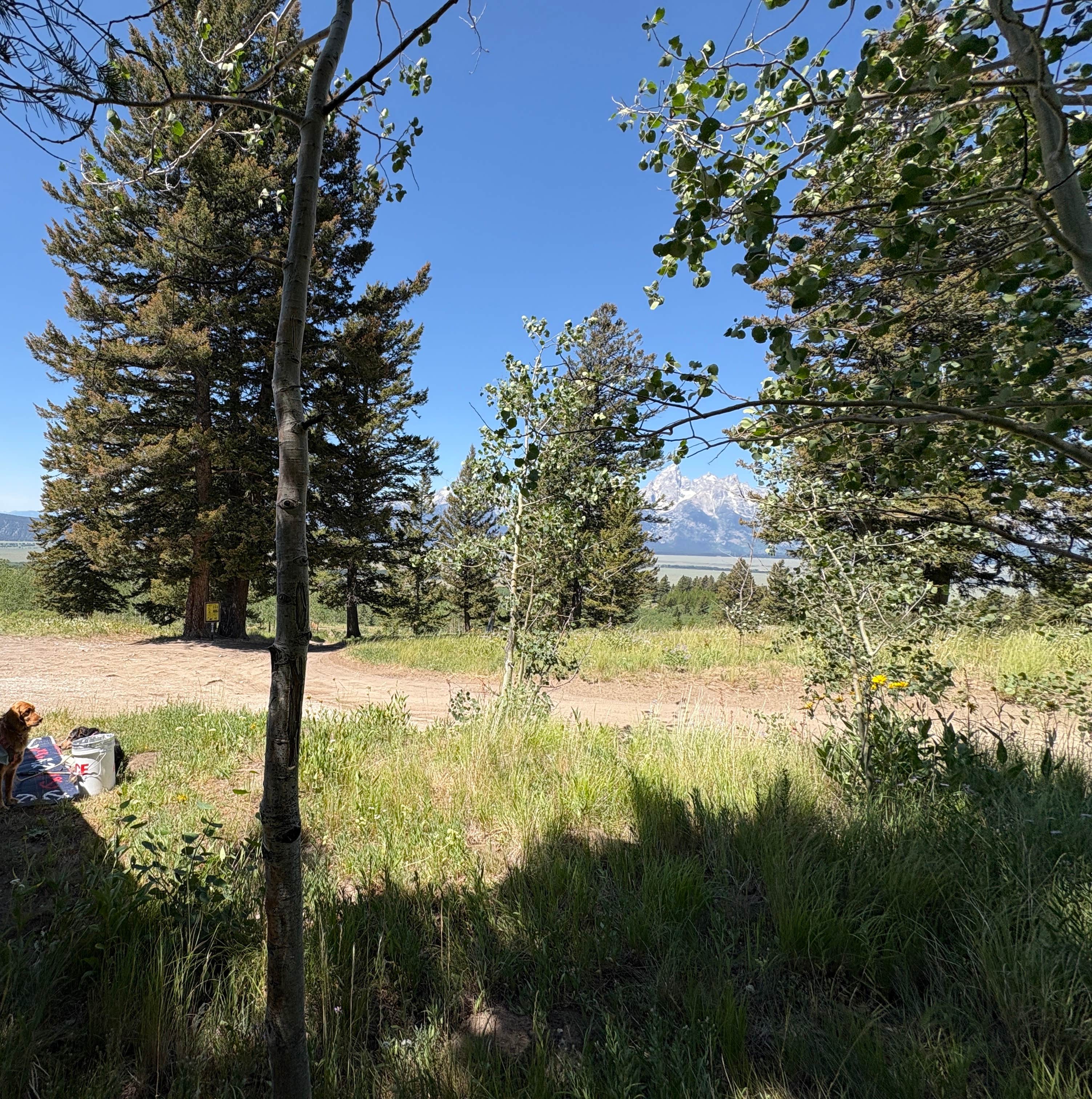 Camper-submitted photo at Shadow Mountain near Moose, WY