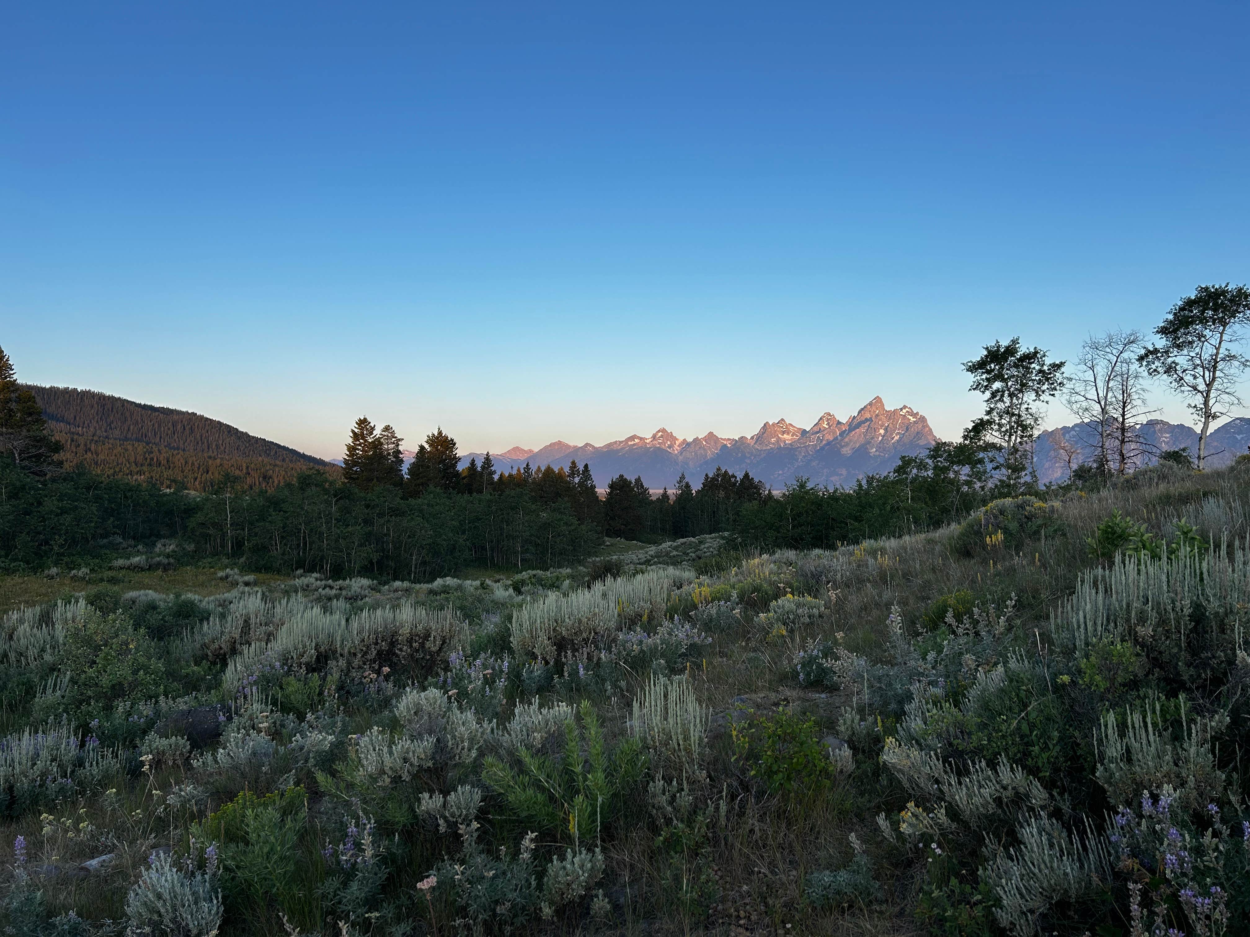 Camping near Jenny Lake Campground — Grand Teton National Park: Shadow Mtn Dispersed Camping, Kelly, Wyoming