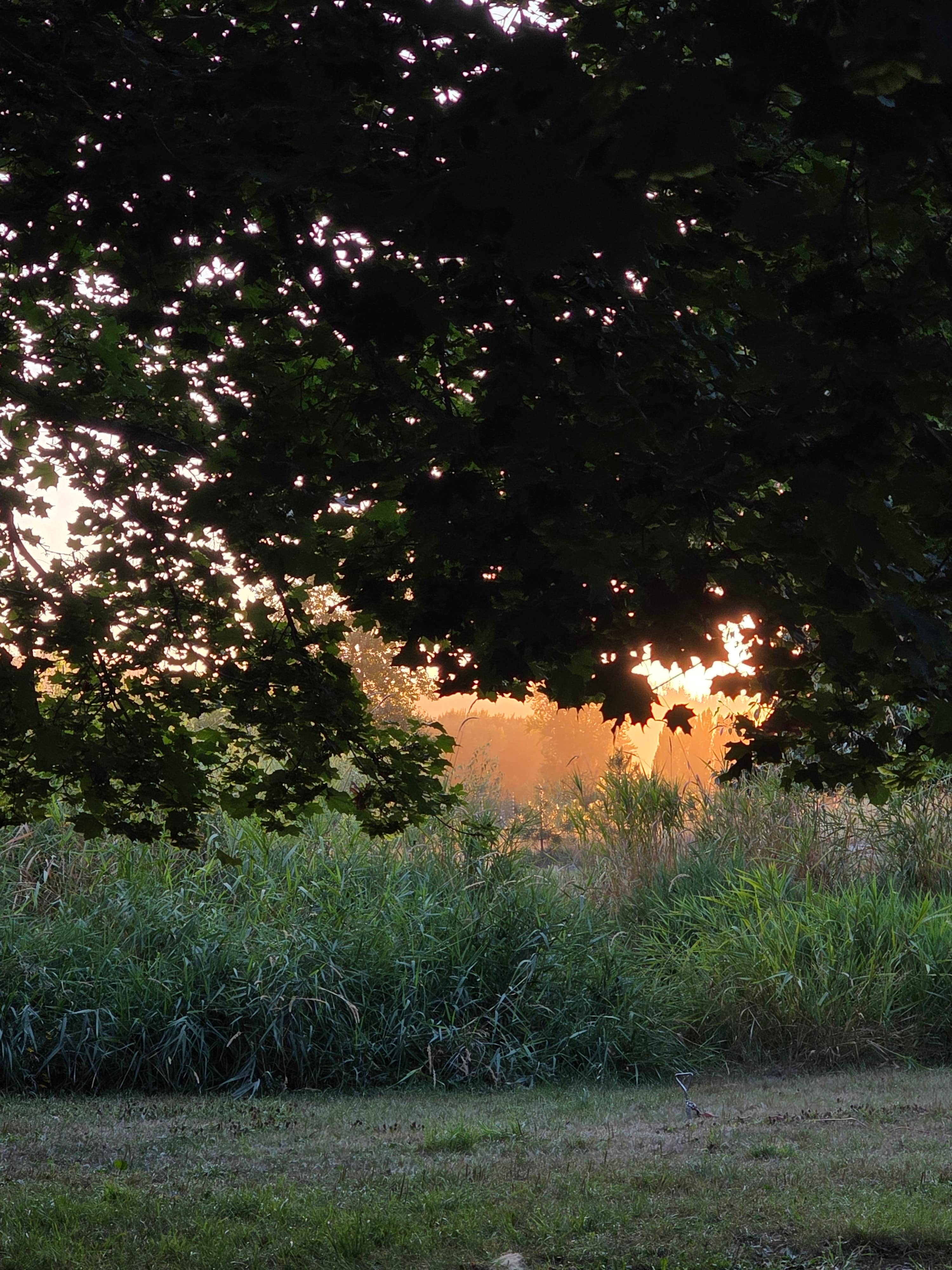 Camper-submitted photo at Shadowy St. Joe Campground — Idaho Panhandle National Forests near St. Maries, ID
