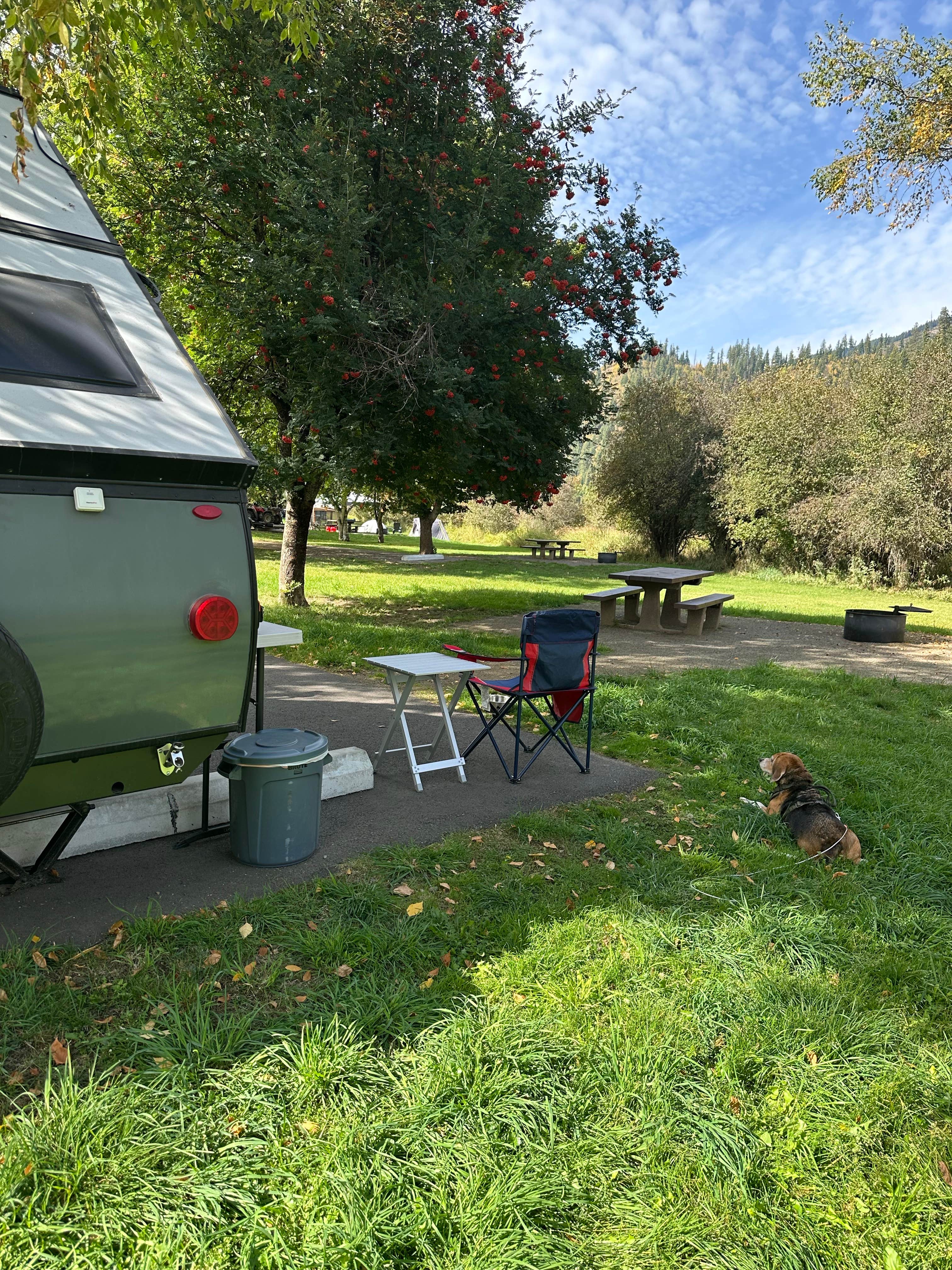 Ernie J.'s photo of camping with pets at Shadowy St. Joe Campground — Idaho Panhandle National Forests near Cataldo, ID