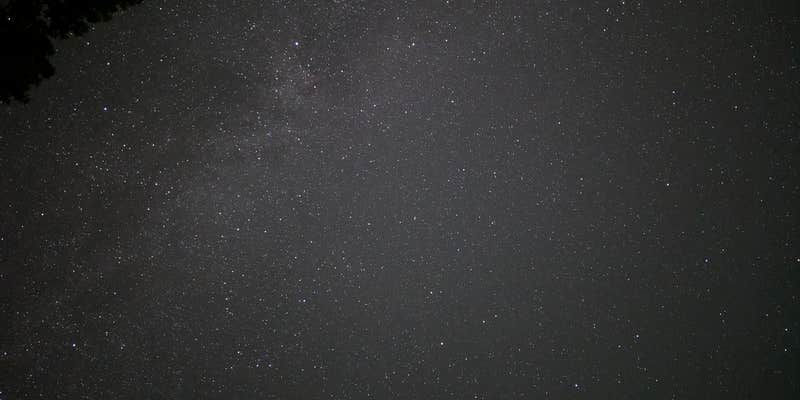 Camper submitted image from Shady Beach Camp & Canoe