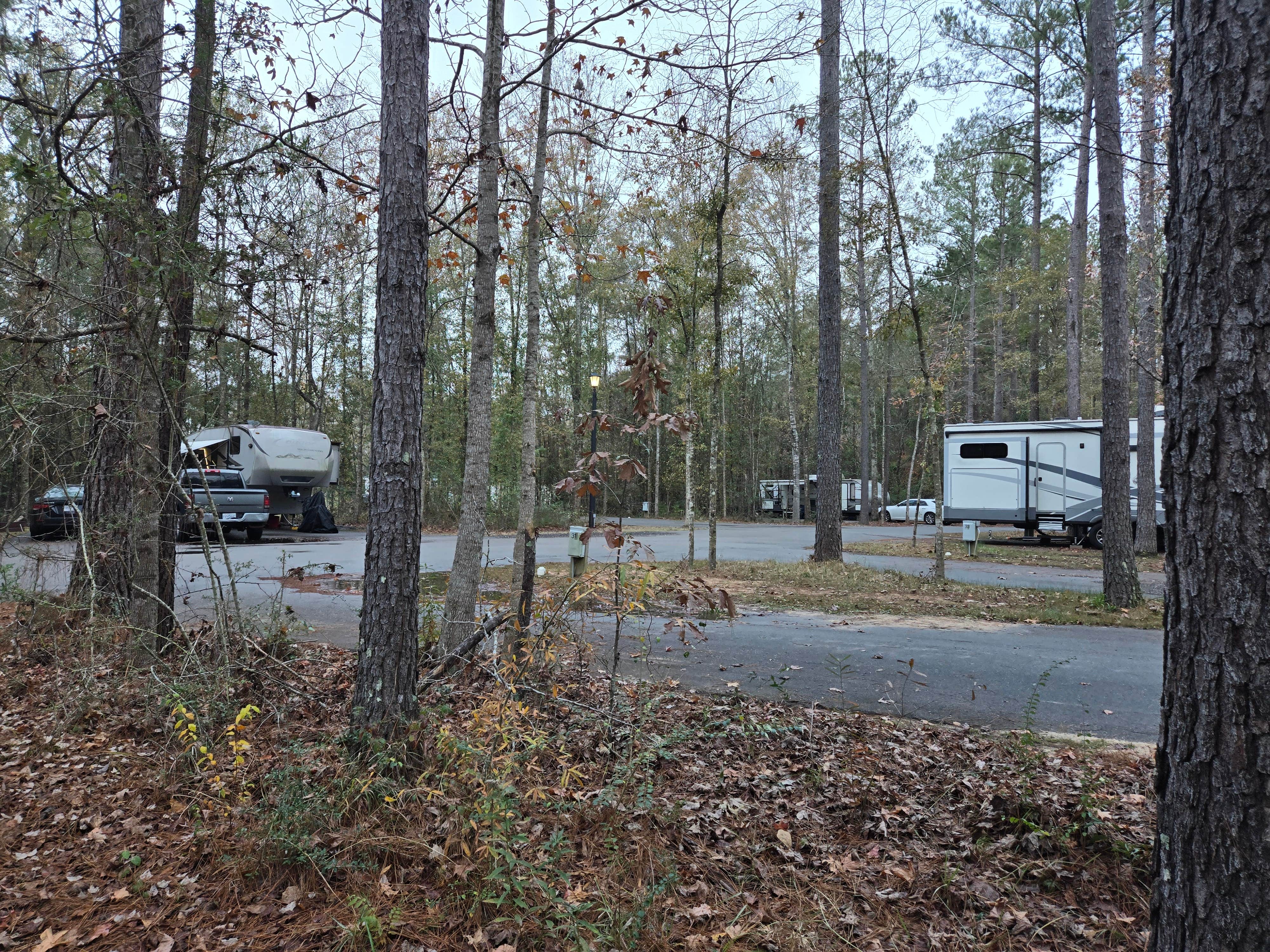 Camper submitted image from Shady Cove RV Park - 4