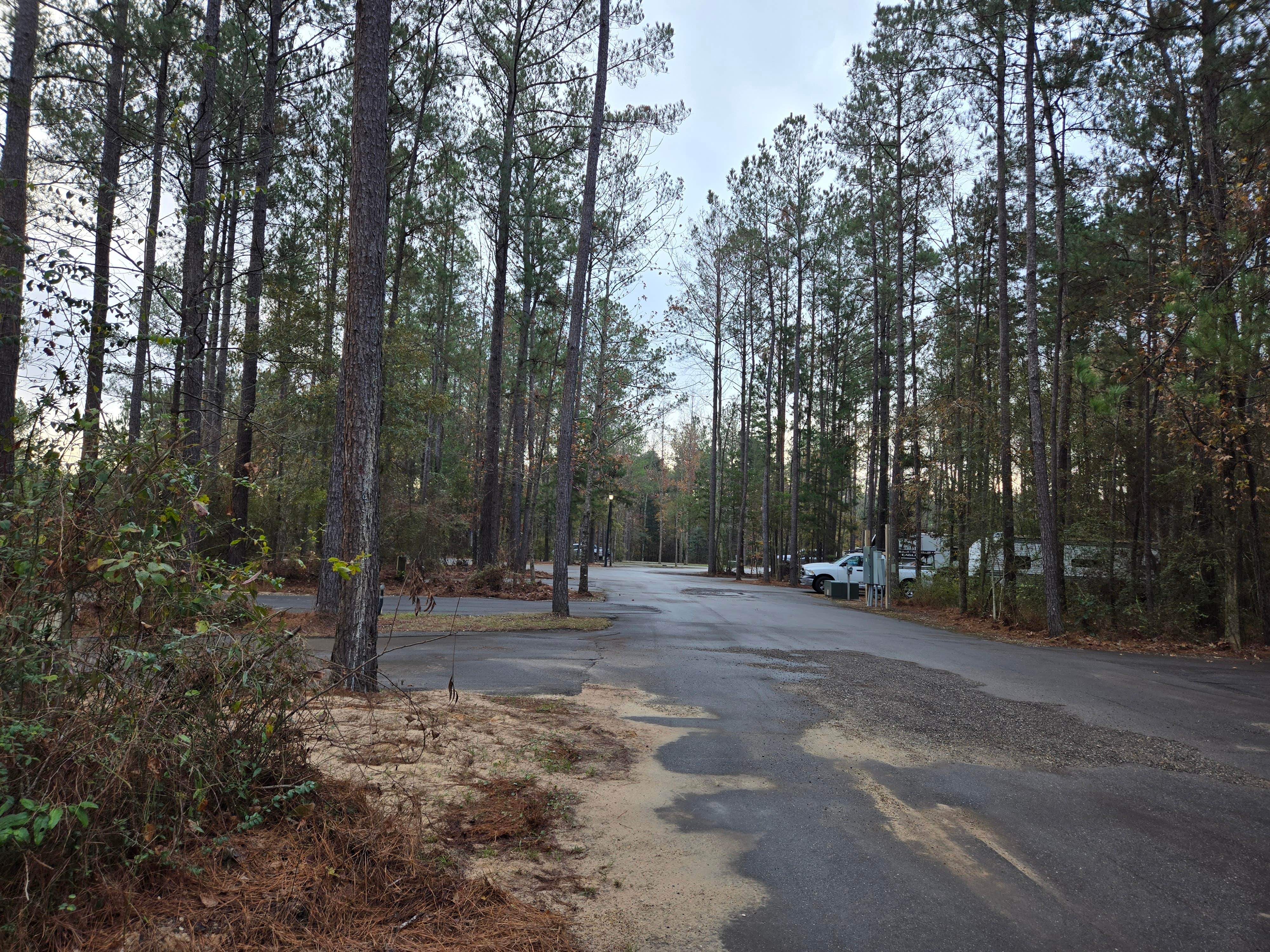 Camper-submitted photo at Shady Cove RV Park near Hattiesburg, MS