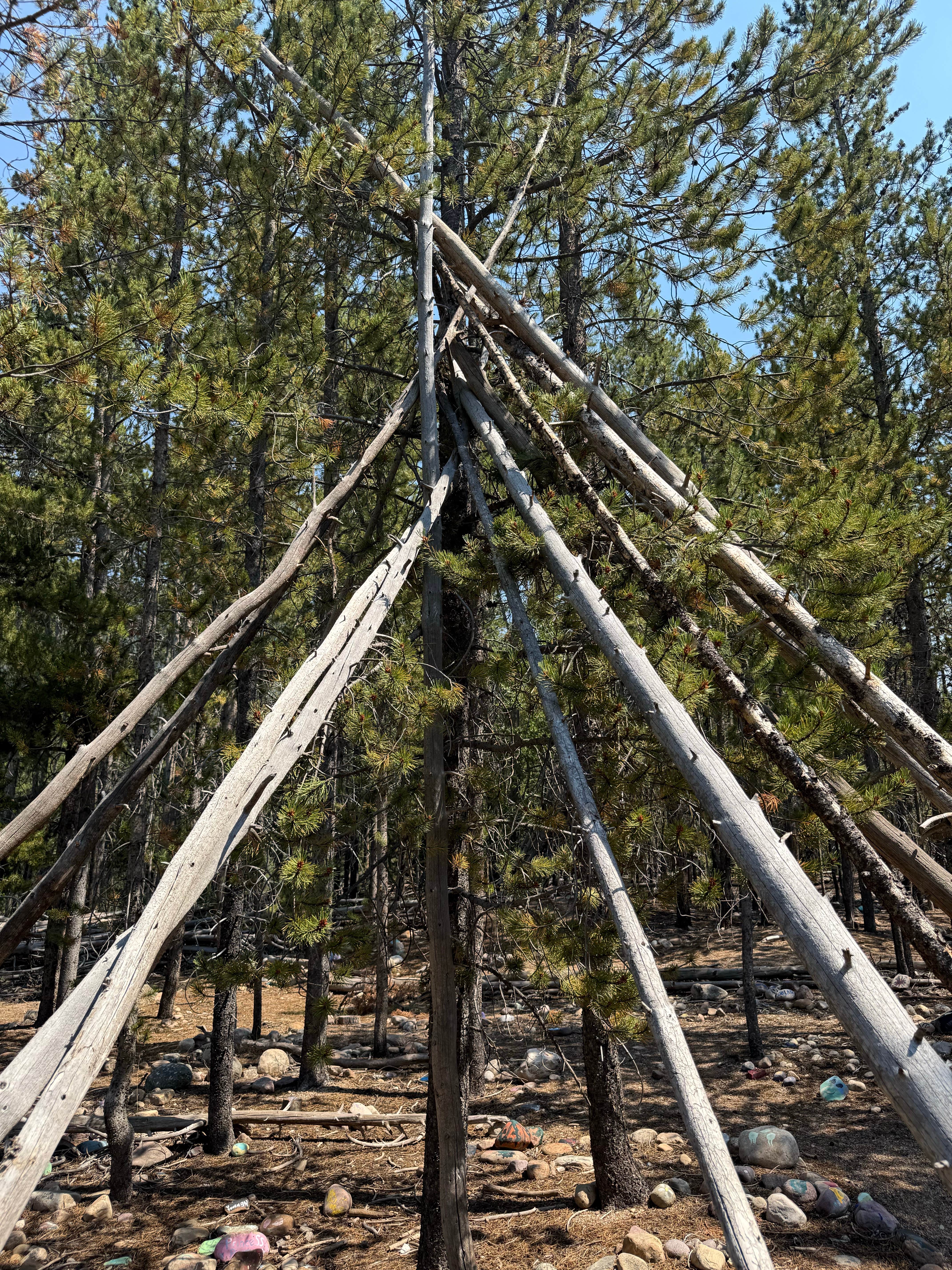 Camping near Ashley National Forest Hades Campground: Shady Dell Campground — Uinta Wasatch Cache National Forest, Kamas, Utah