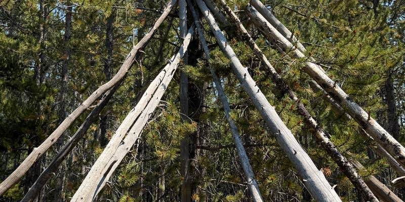 Camper submitted image from Shady Dell Campground — Uinta Wasatch Cache National Forest