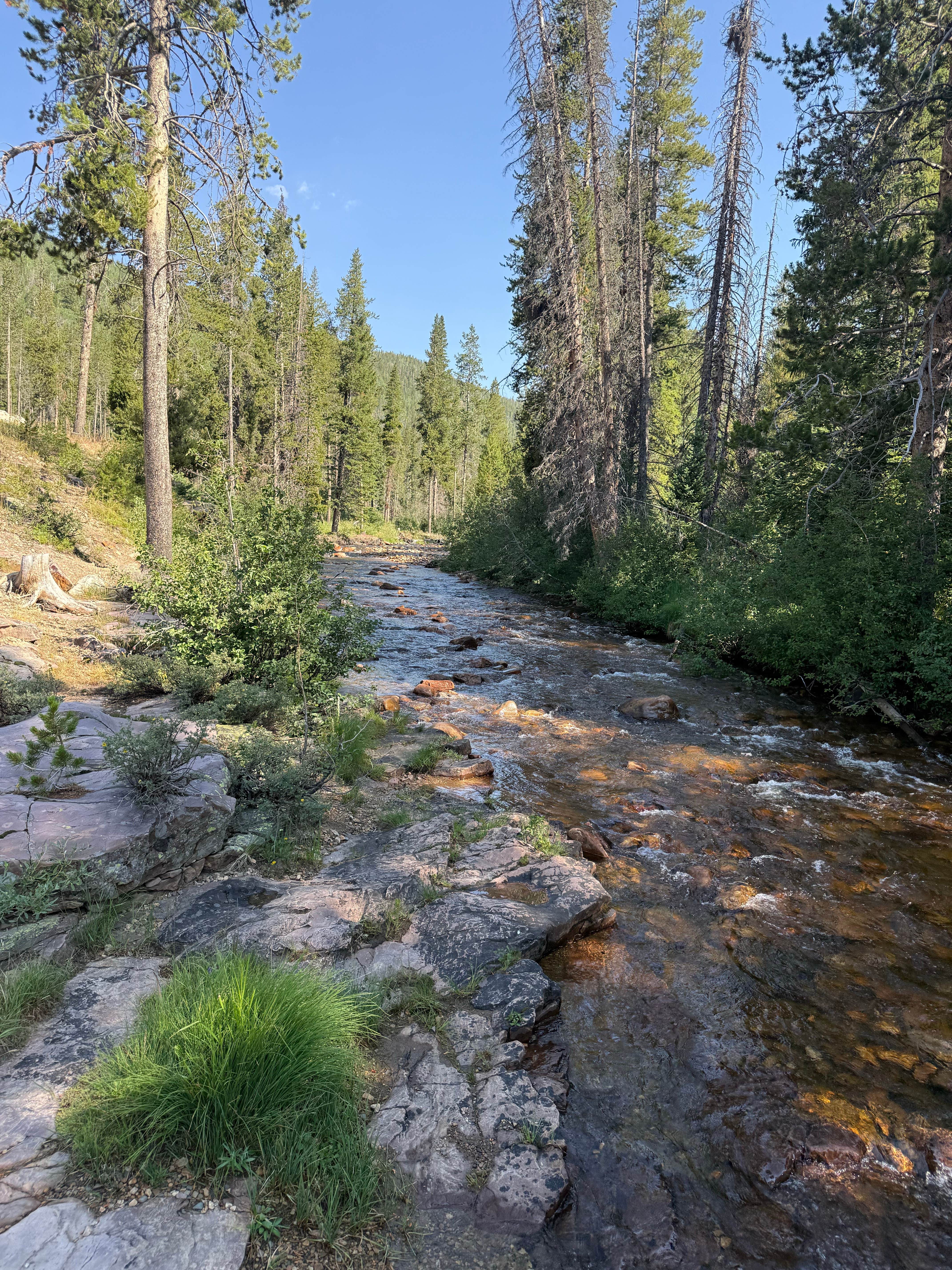 Camper-submitted photo at Shady Dell Campground — Uinta Wasatch Cache National Forest near Hanna, UT