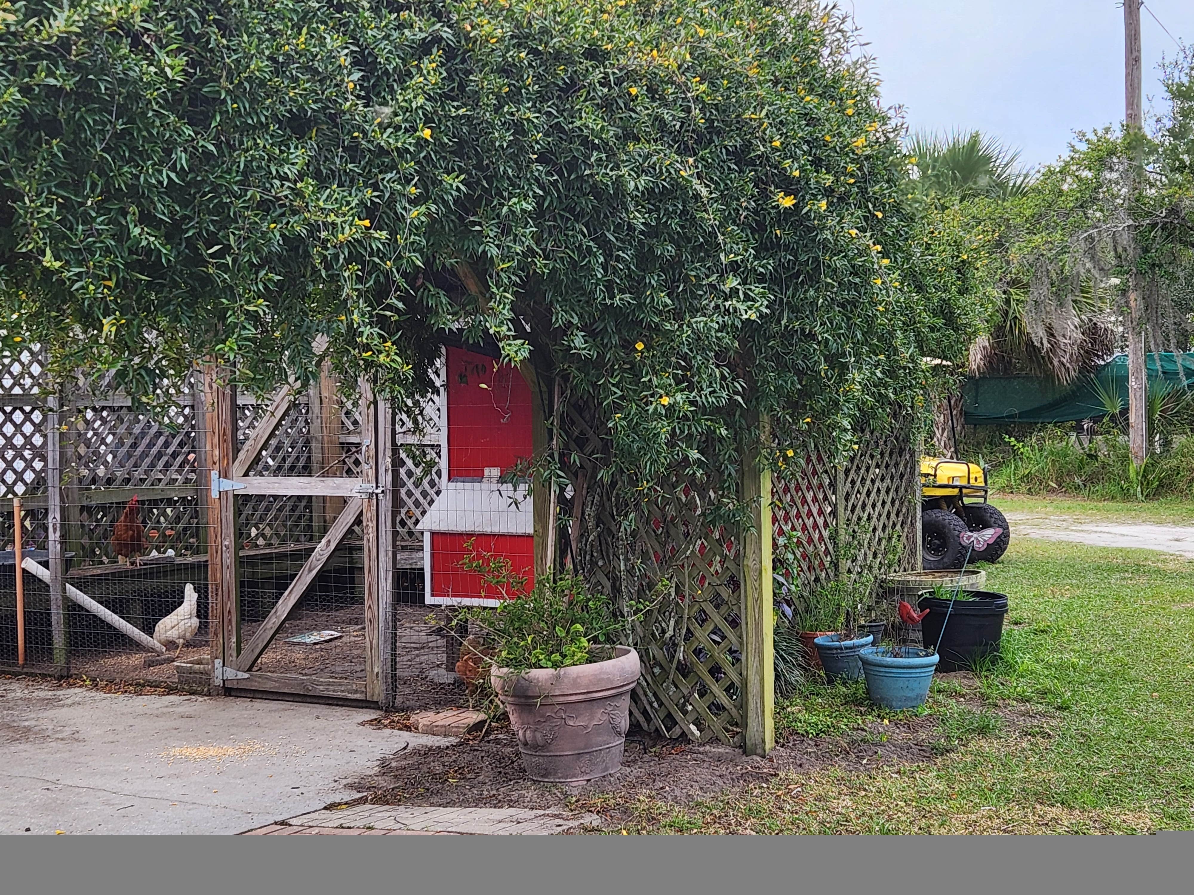 Camping near Sun Outdoors Orlando ChampionsGate: Shady Lawn, Davenport, Florida