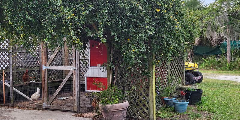 Camper submitted image from Shady Lawn