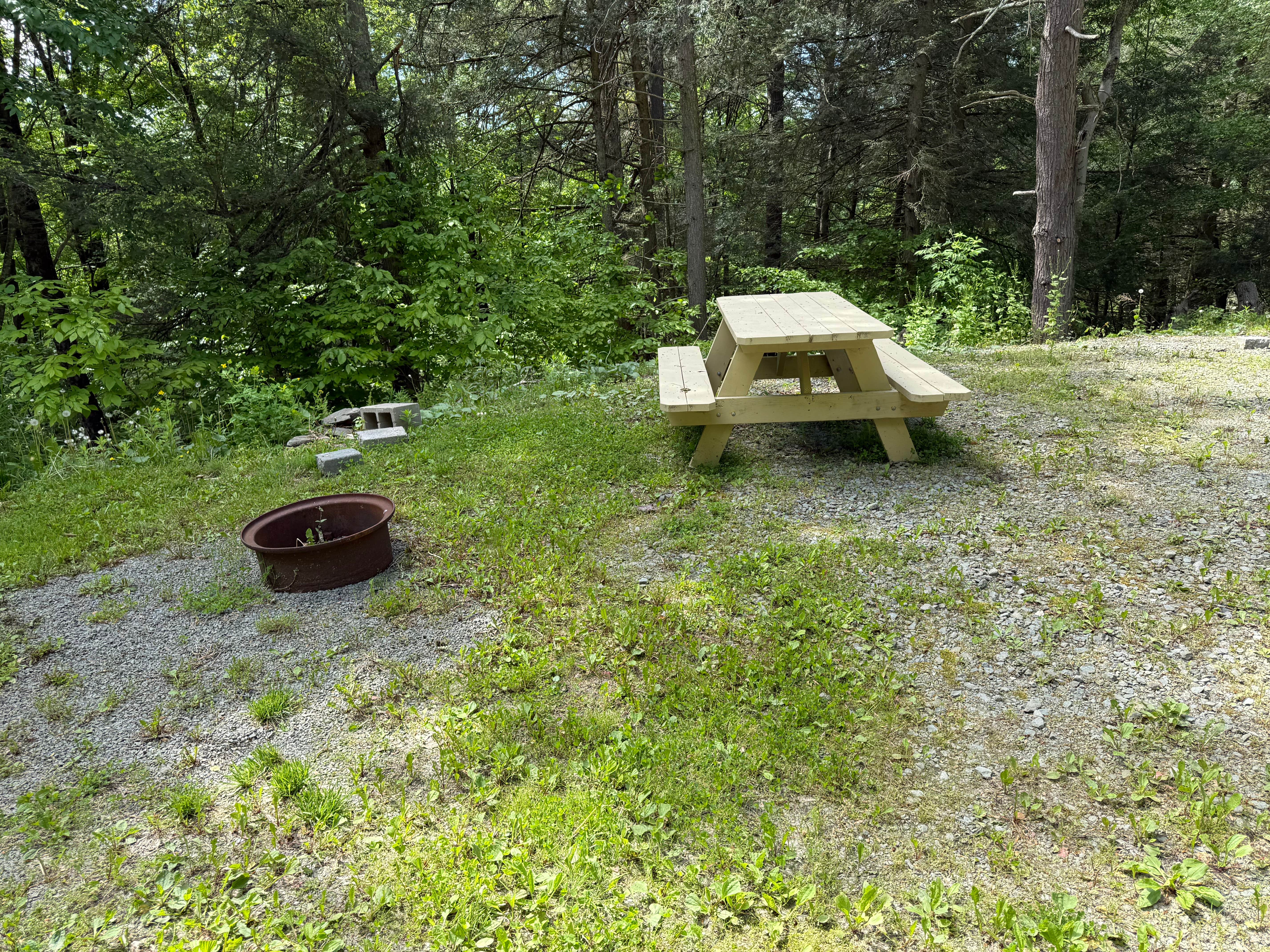 Camper-submitted photo at Shady Rest Campground near Fleetville, PA