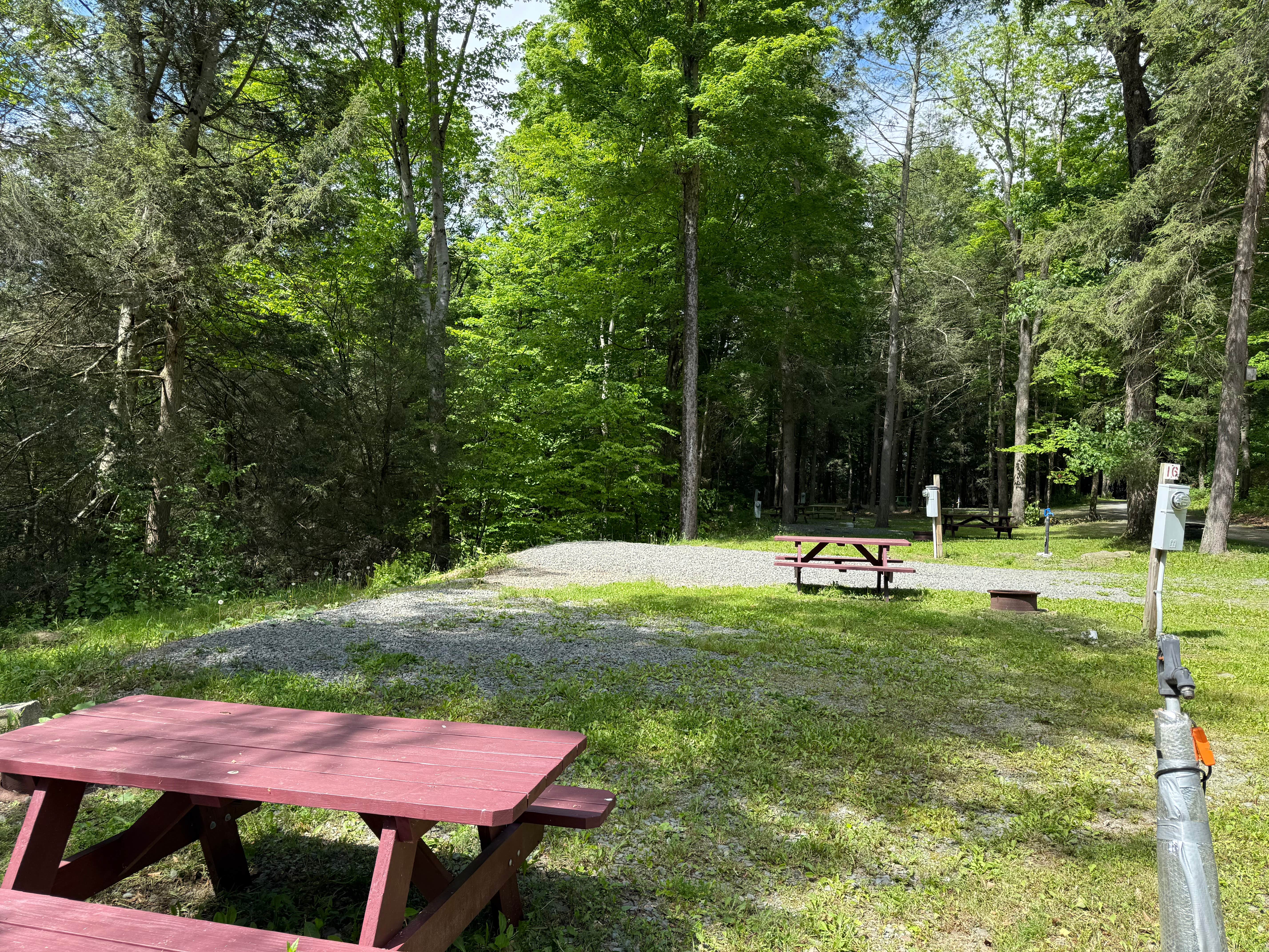 Camper-submitted photo at Shady Rest Campground near Fleetville, PA