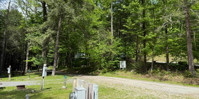 Camper submitted image from Shady Rest Campground