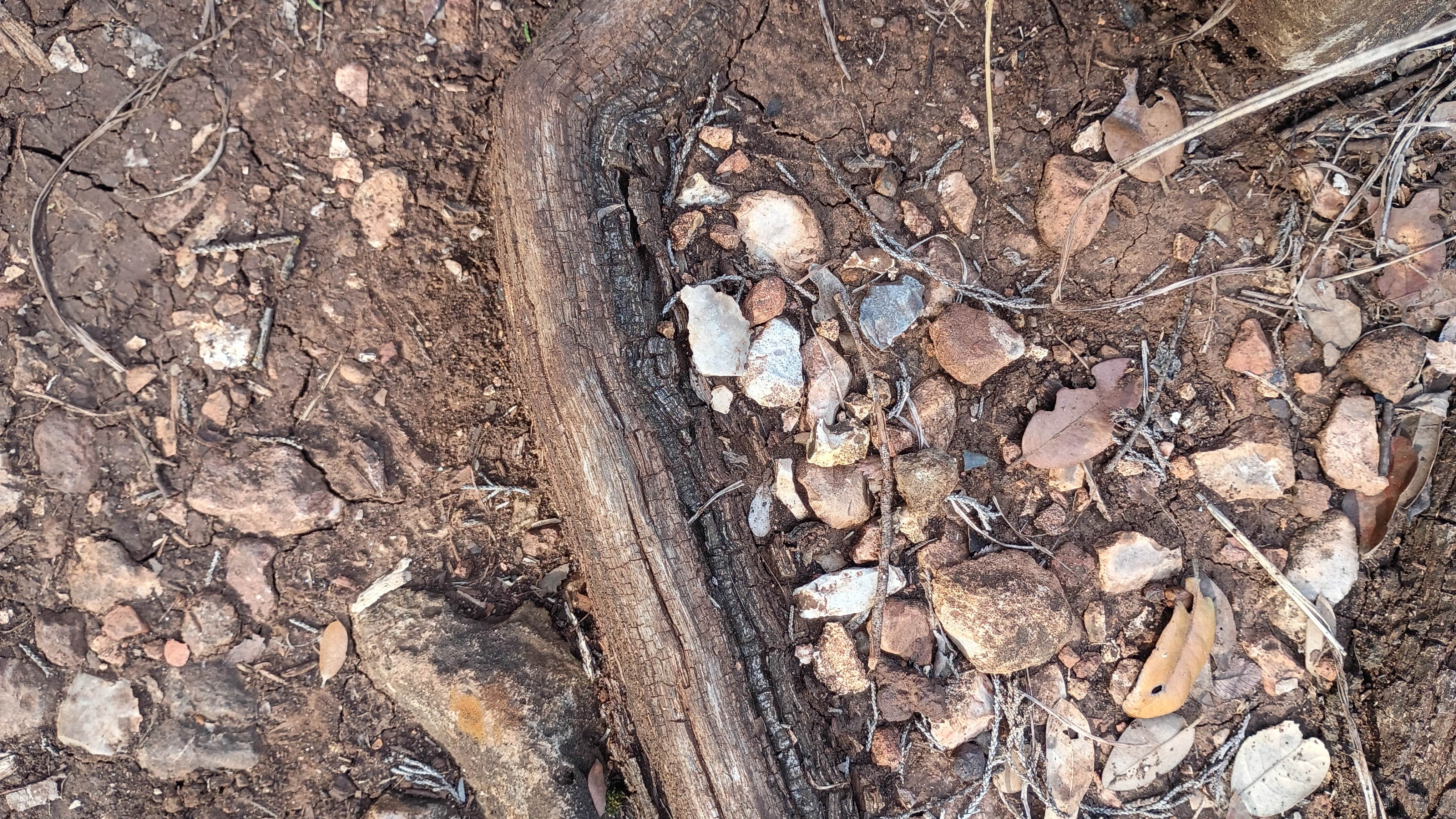 Camper-submitted photo at Shady River RV Resort near Granger, TX