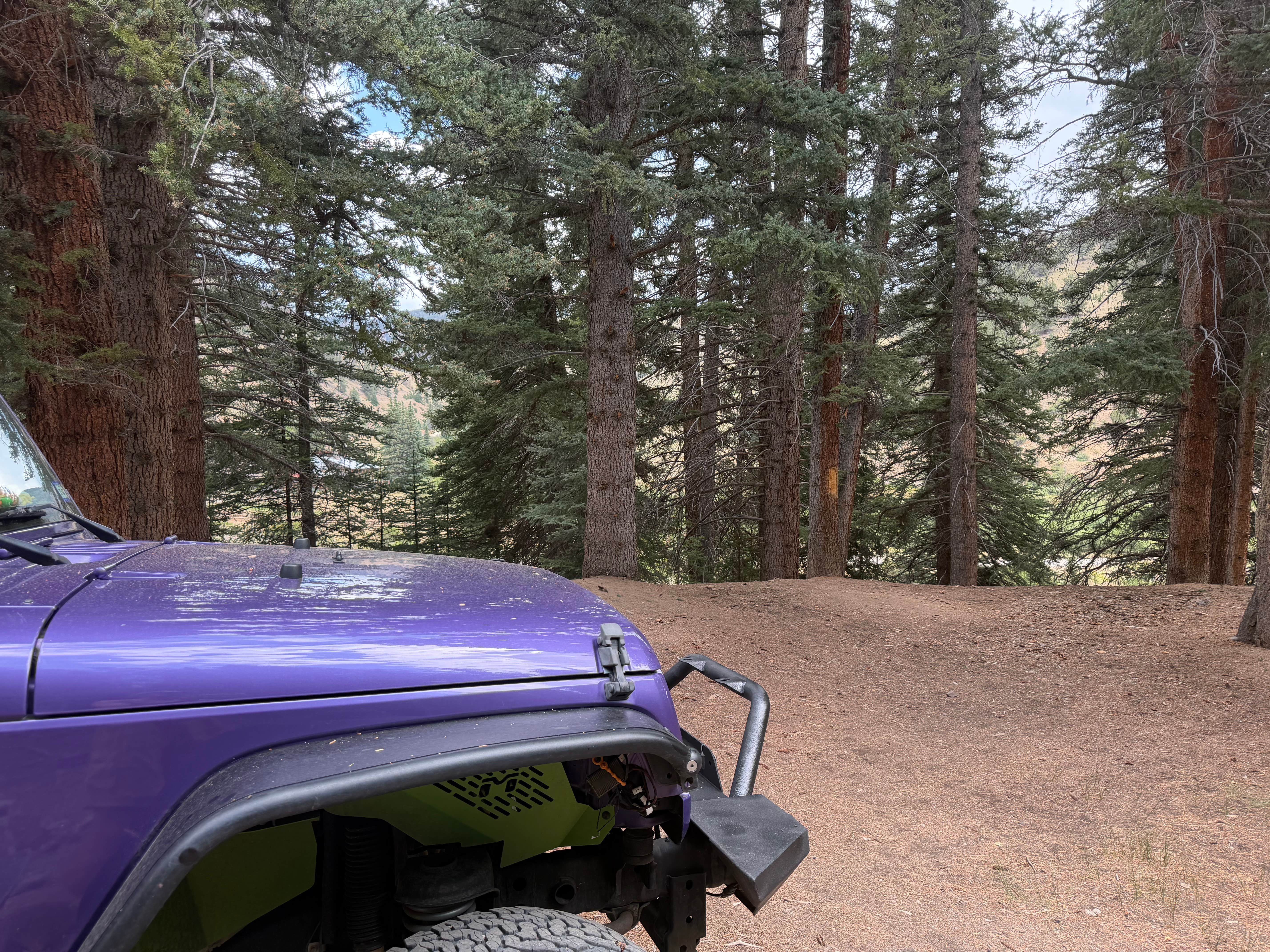 Camper-submitted photo at Shallow Creek near City of Creede, CO