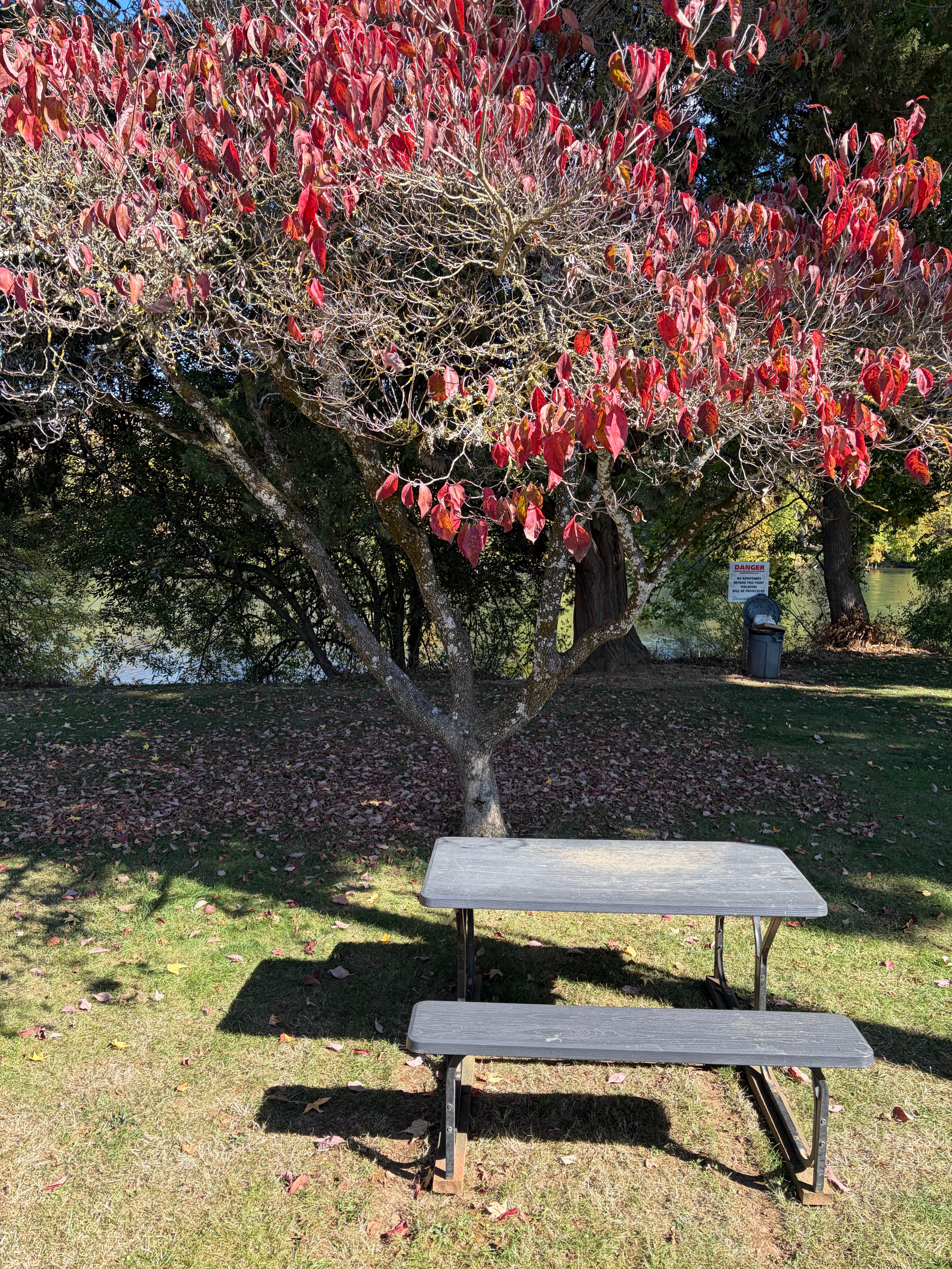 Camping near Premier RV Resort at Eugene: Shamrock Village RV And Mhp, East Springfield, Oregon