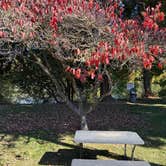 Review photo of Shamrock Village RV And Mhp by Dante O., October 14, 2026