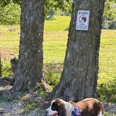 Review photo of Sharp RV Park by Joel R., June 16, 2026
