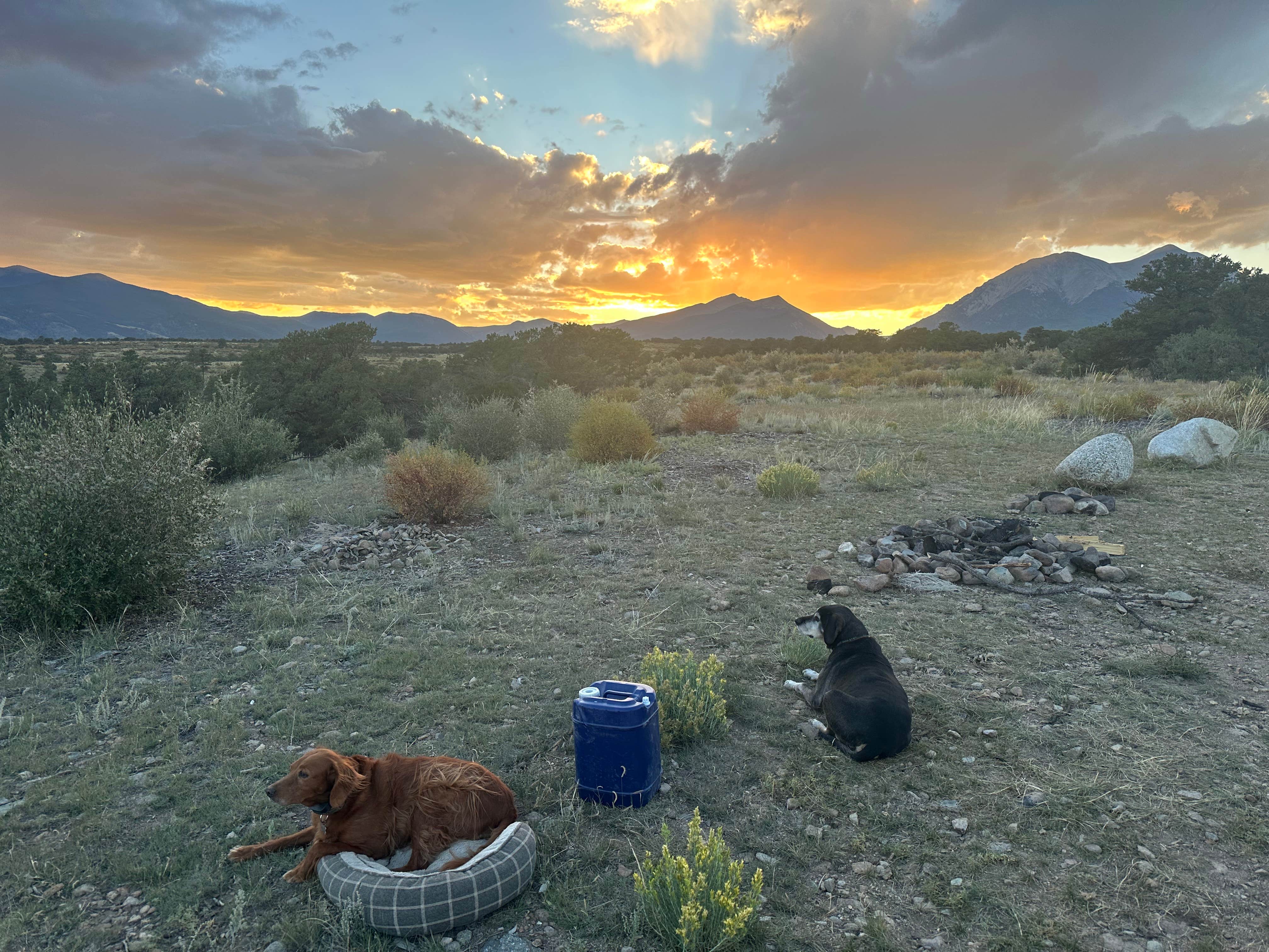 Camper-submitted photo at Shavano Mountain near Poncha Springs, CO