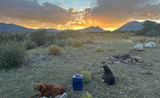 Jeff C.'s photo of camping with pets at Shavano Mountain near Poncha Springs, CO