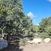 Review photo of Shavano Mountain by Charles T., May 16, 2025