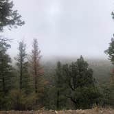 Review photo of Shavano Mountain by david S., April 2, 2026