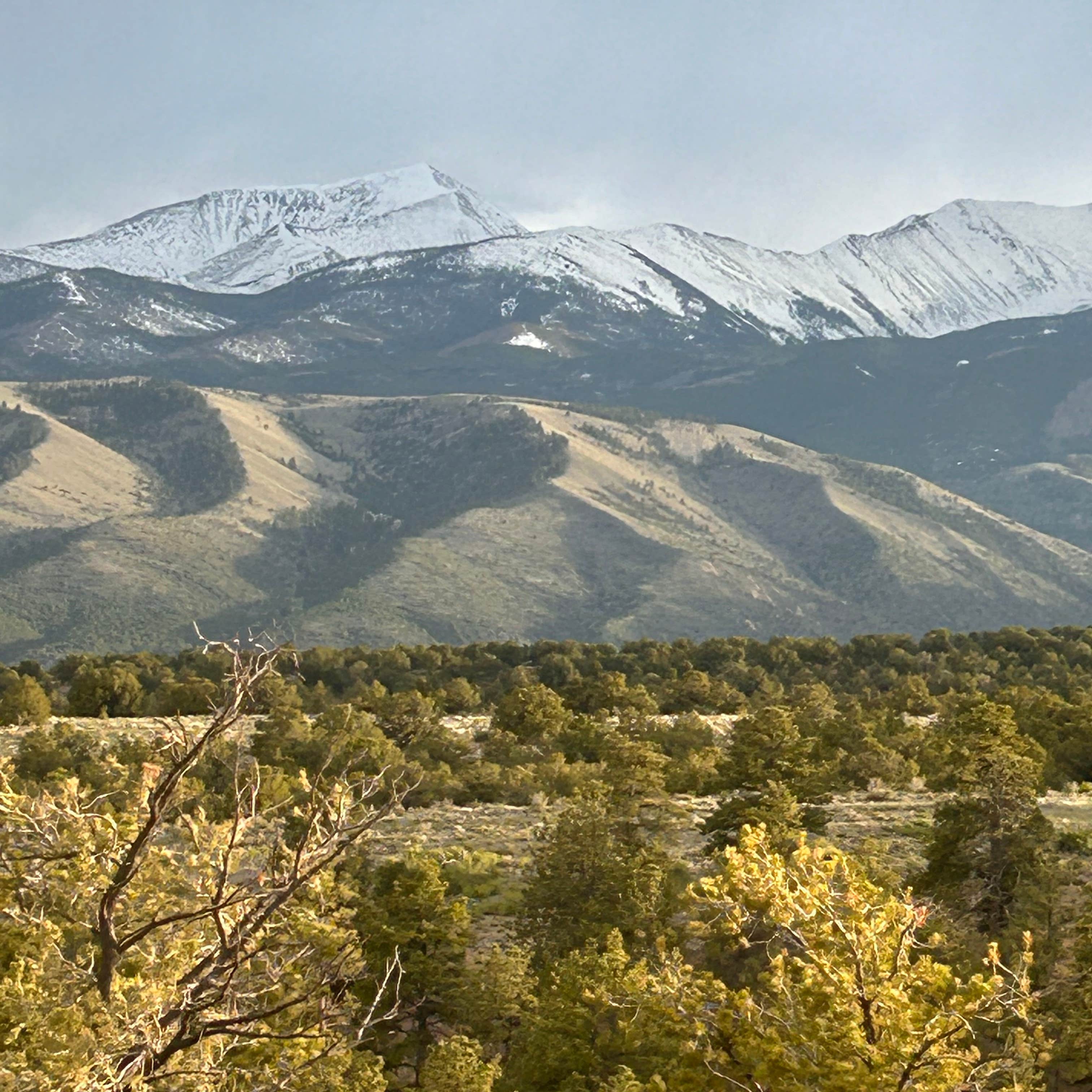 Shavano Mountain Camping Poncha Springs, CO