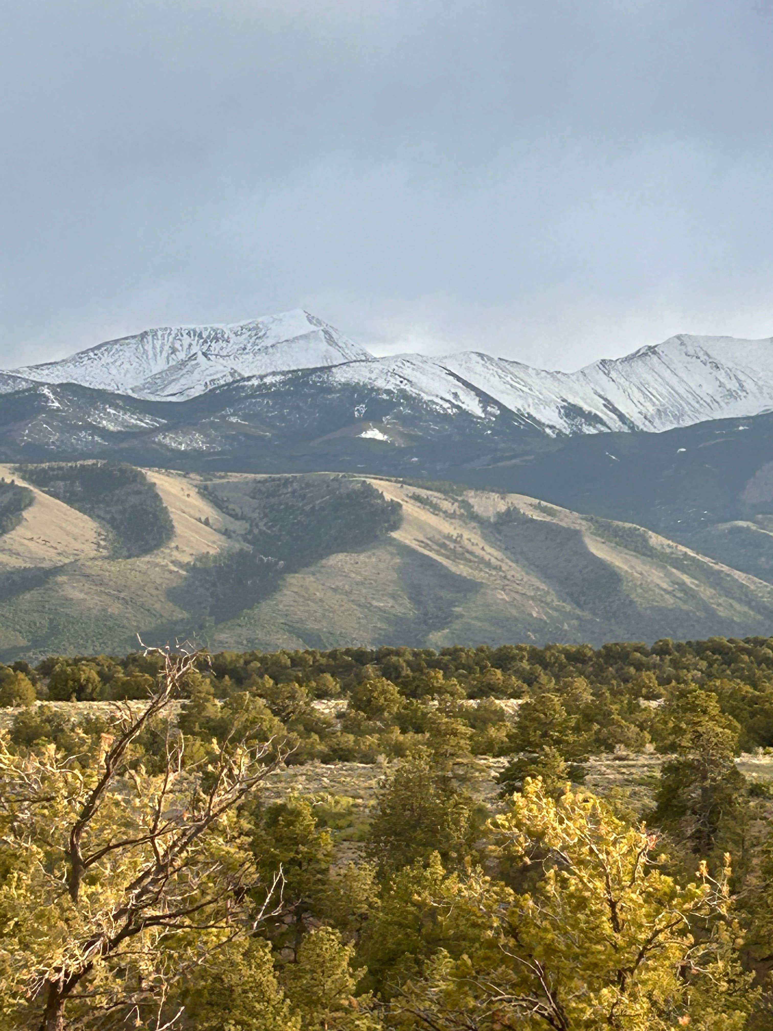 Shavano Mountain Camping Poncha Springs, CO