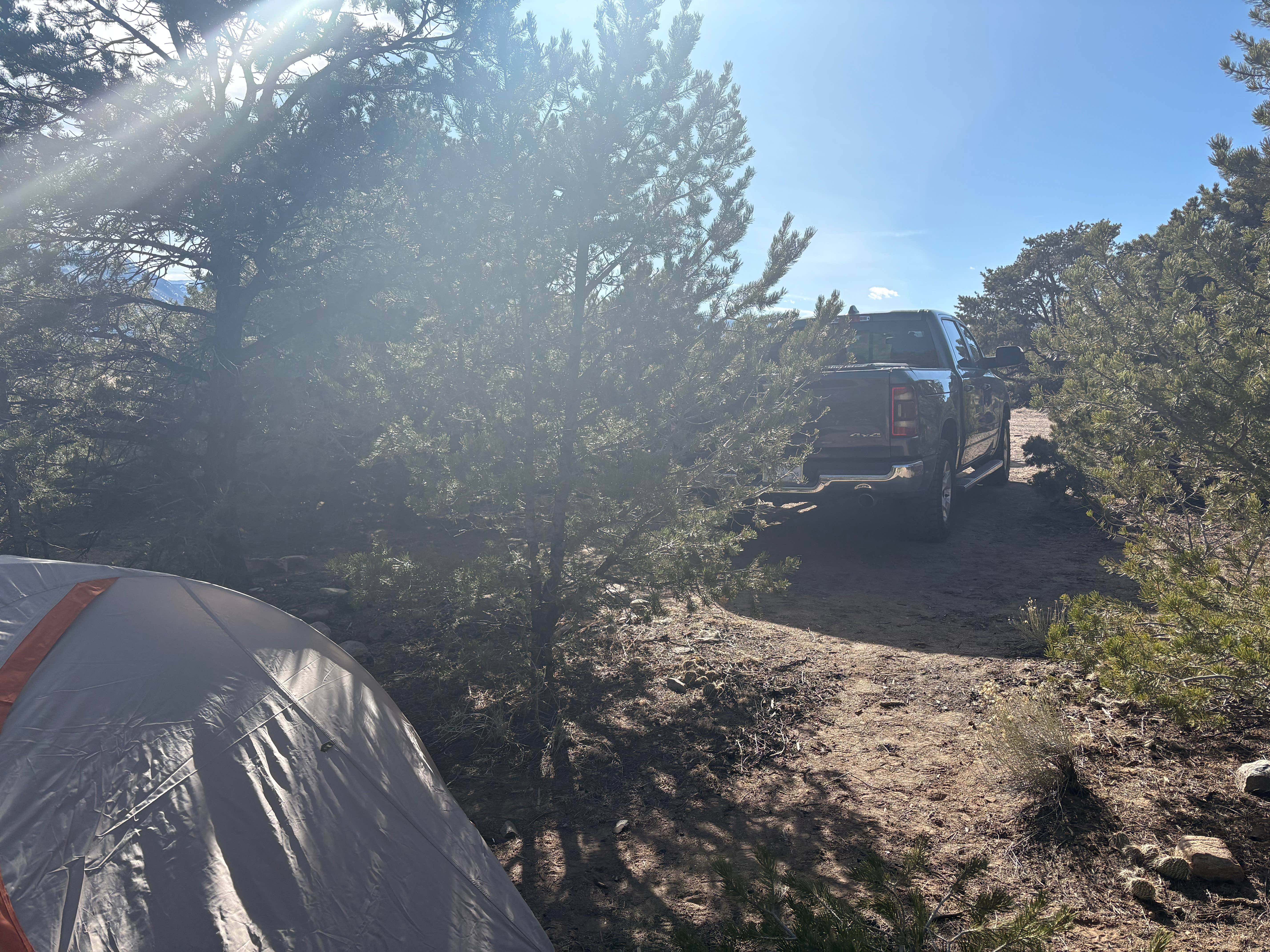 Camper-submitted photo at Shavano Mountain near Poncha Springs, CO