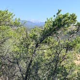 Review photo of Shavano Mountain by Rob S., August 1, 2026