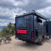 Review photo of Shavano Mountain by Randy P., June 25, 2026