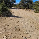 Review photo of Shavano Mountain by johny R., April 12, 2026