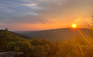 Neil M.'s photo of a dispersed camping area at Shawl Gap near Ruckersville, VA