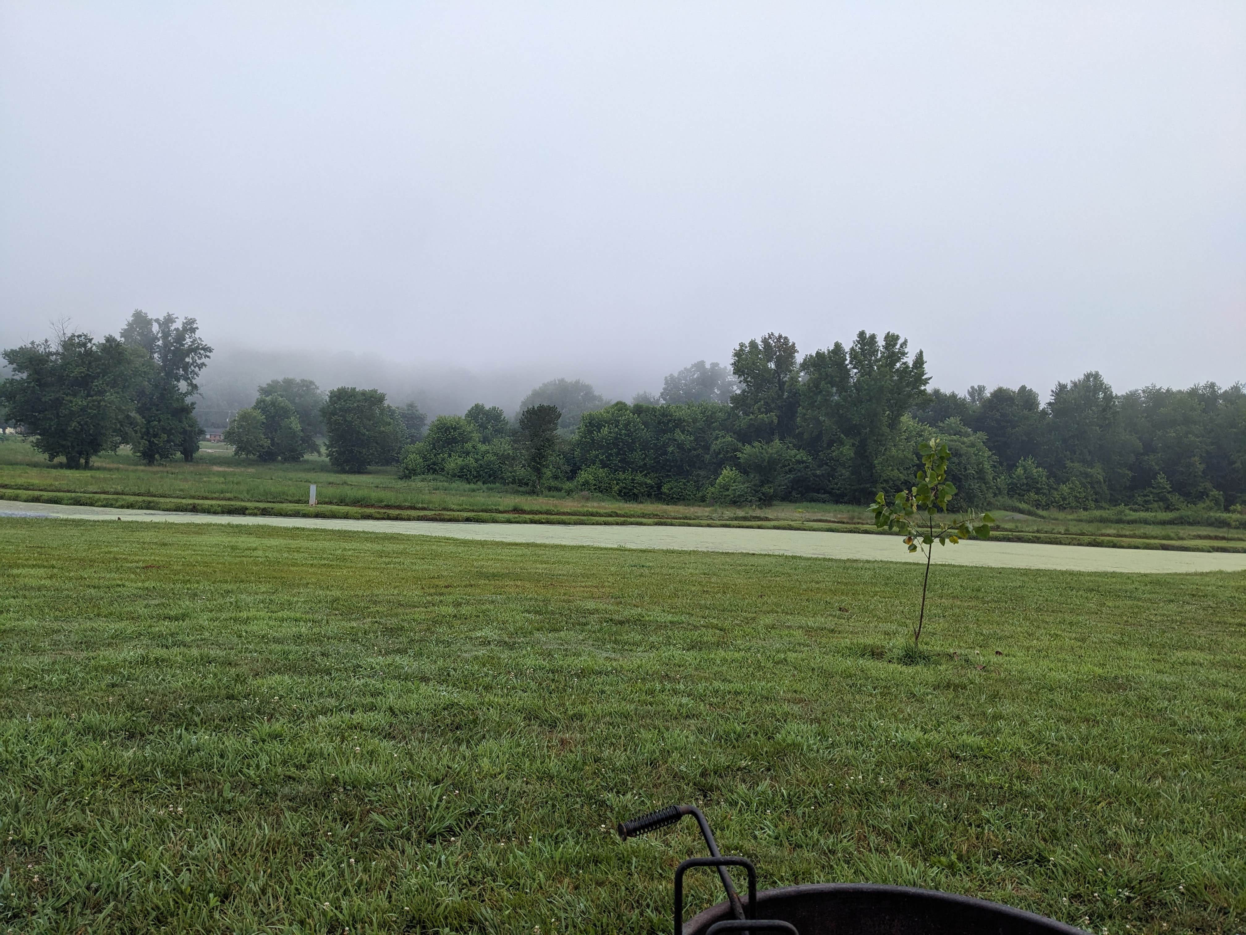 Camper submitted image from Shawnee State Park-Ohio River Campground - 1