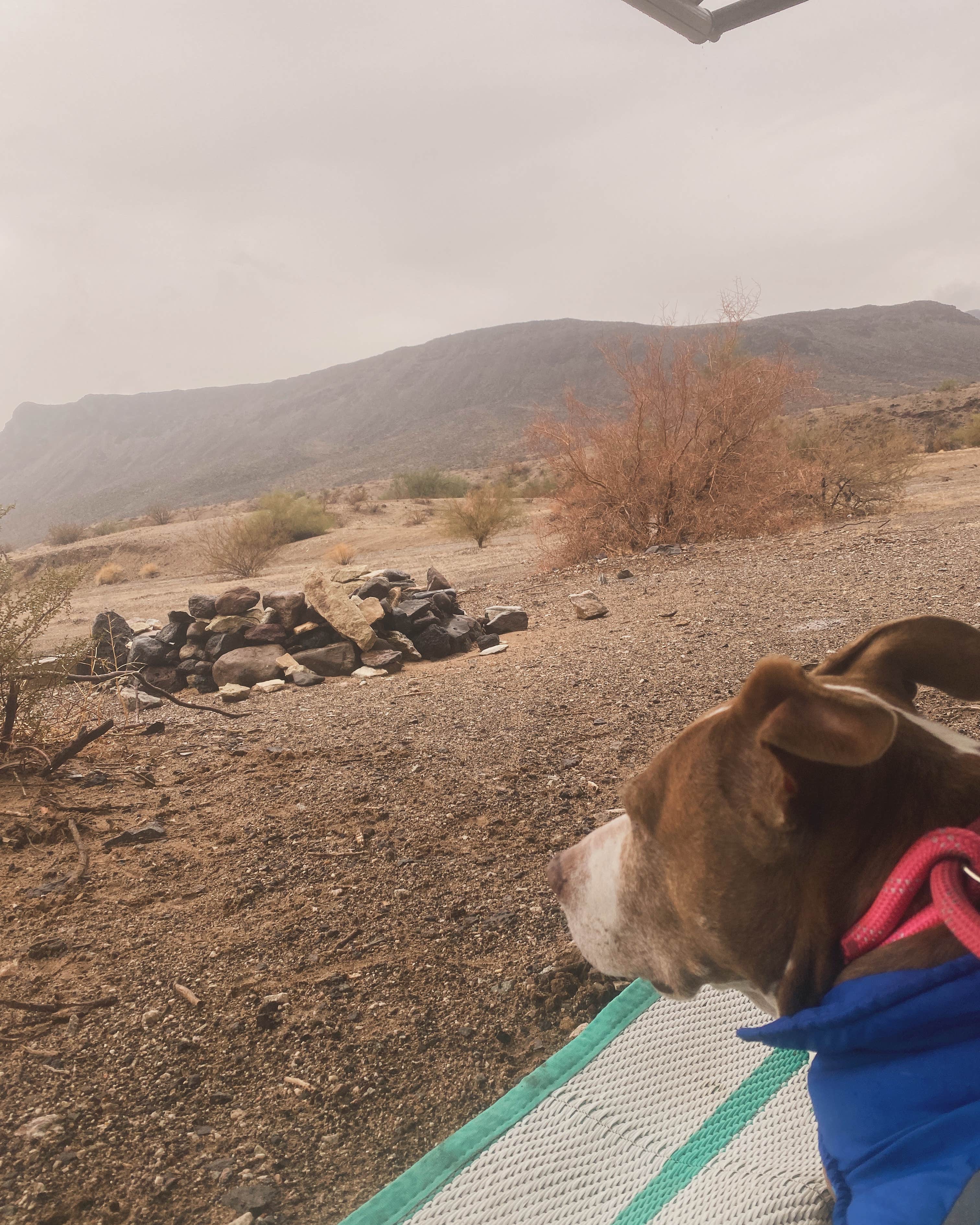 Camper-submitted photo at Shea Road BLM Dispersed near Parker, AZ