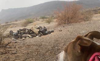 Danny T.'s photo of camping with pets at Shea Road BLM Dispersed near Parker Dam, CA