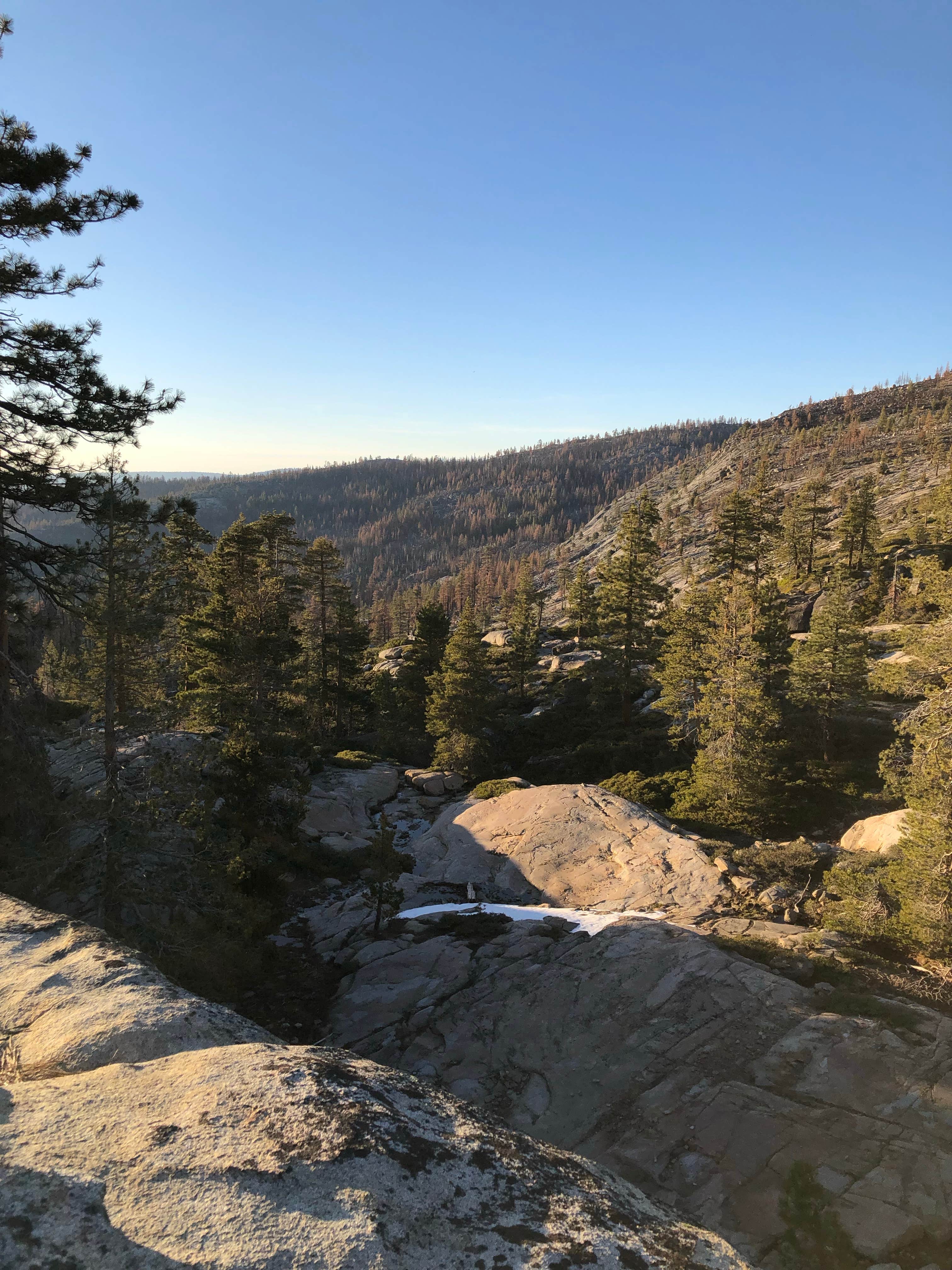 Camping near Sugar Pine Point Campground: Shealor Lakes Dispersed Backcountry, Kit Carson, California