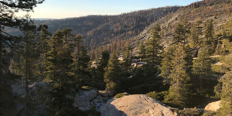 Camper submitted image from Shealor Lakes Dispersed Backcountry