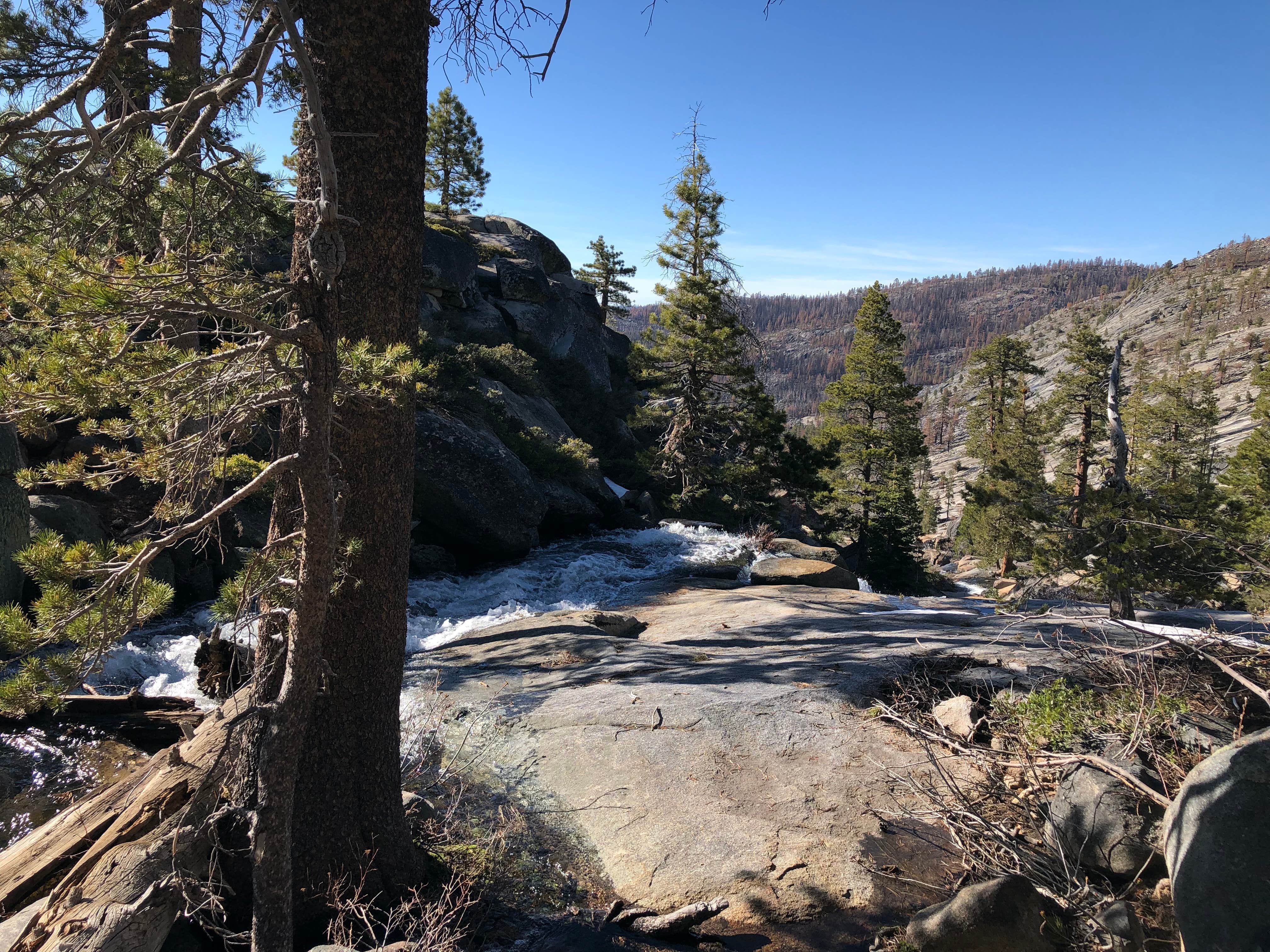 Camper submitted image from Shealor Lakes Dispersed Backcountry - 3