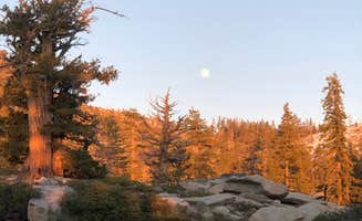 Camden Z.'s photo of a dispersed camping area at Shealor Lakes Dispersed Backcountry near Mi-Wuk Village, CA