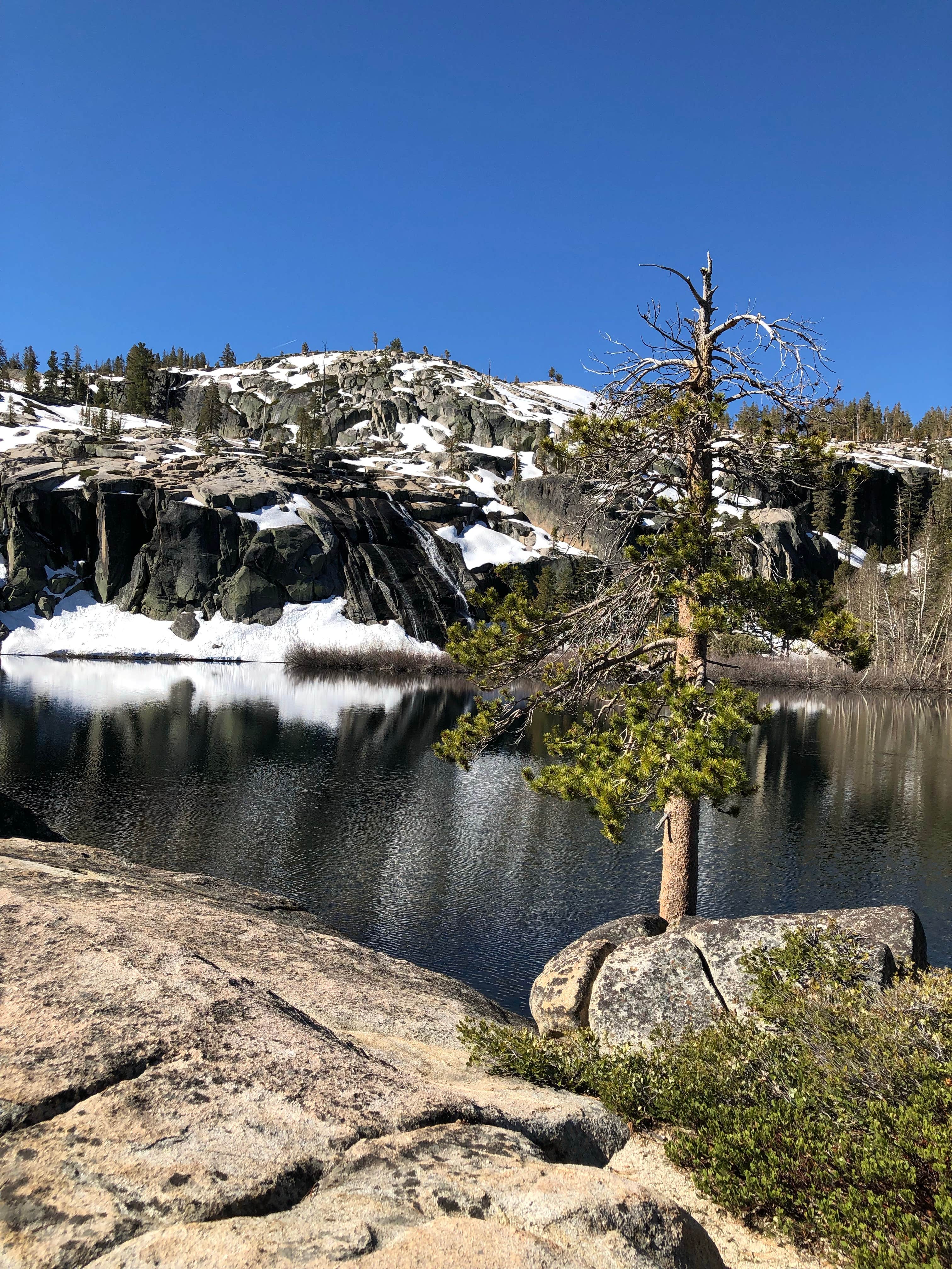 Camper-submitted photo at Shealor Lakes Dispersed Backcountry near New Melones Lake