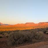 Review photo of Sheep Bridge BLM Area (Hurricane Cliffs Trail System) - Utah by Matt , May 21, 2025