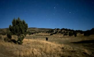 Ashlyn H.'s photo of a dispersed camping area at Sheep Creek Dispersed Camping Area near Helper, UT